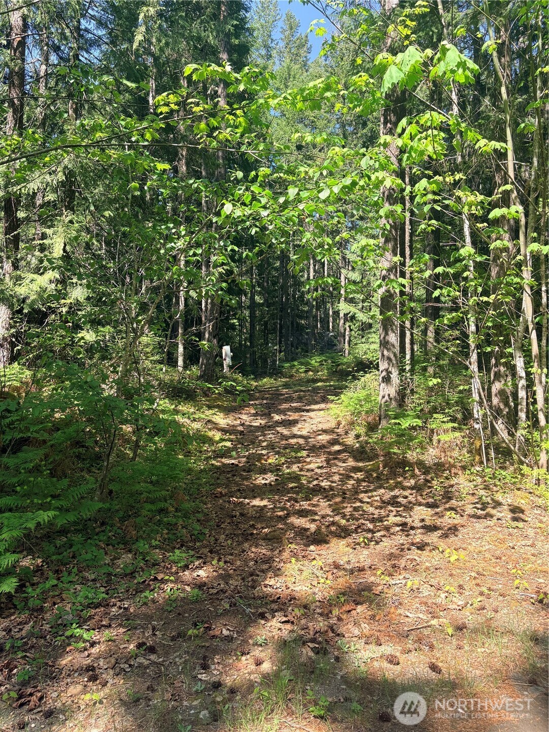 30 N Skokomish Drive Property Photo 6