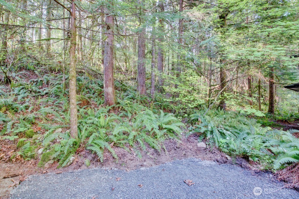 106 Gold Rush Road Property Photo 7