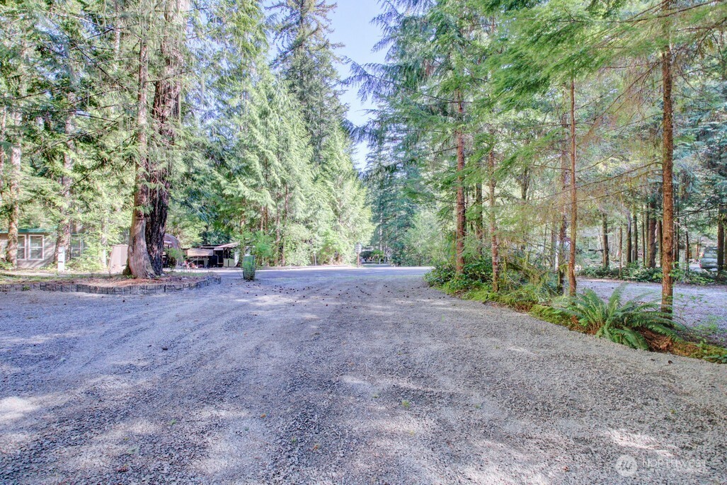 106 Gold Rush Road Property Photo 21