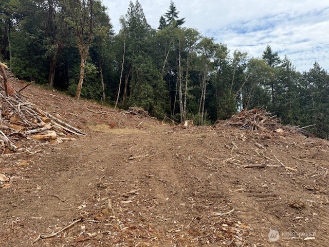 0 Garrard Creek Road Property Photo 10
