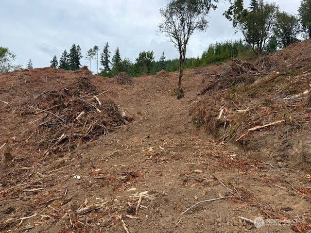 0 Garrard Creek Road Property Photo 11