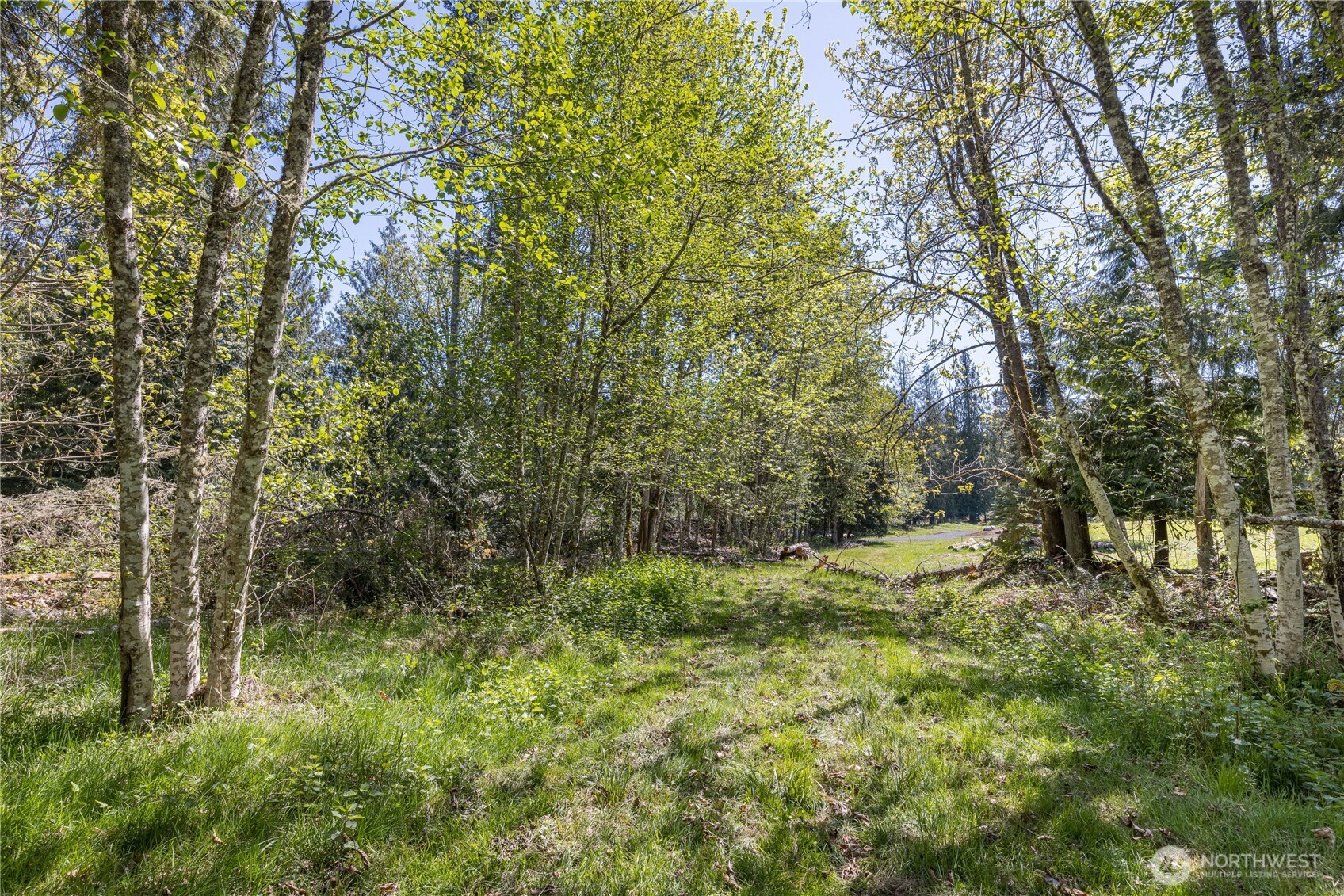 1344 Ripplebrook Drive Property Photo 33