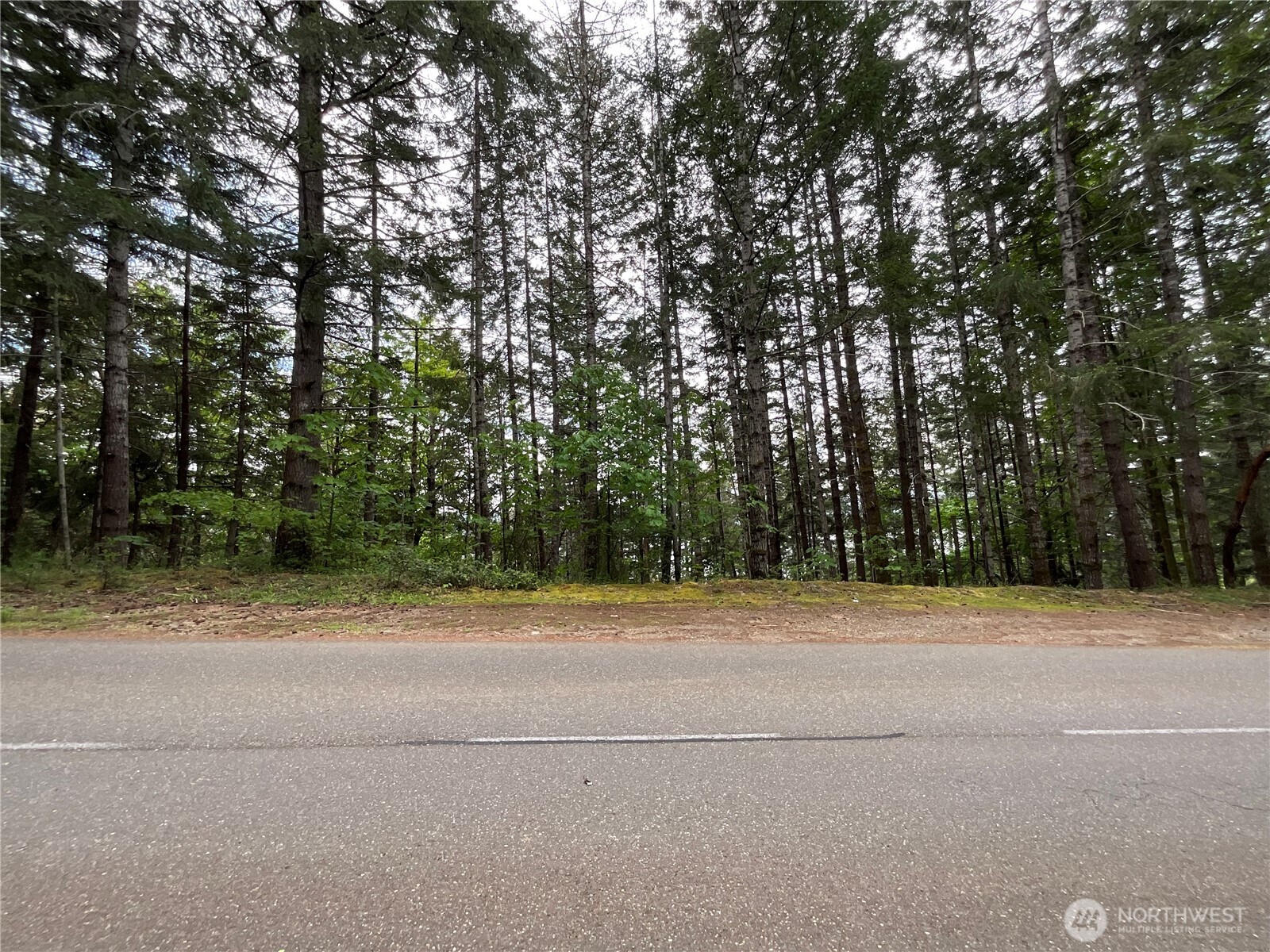 1 N Xx N Colony Surf Drive Property Photo 2