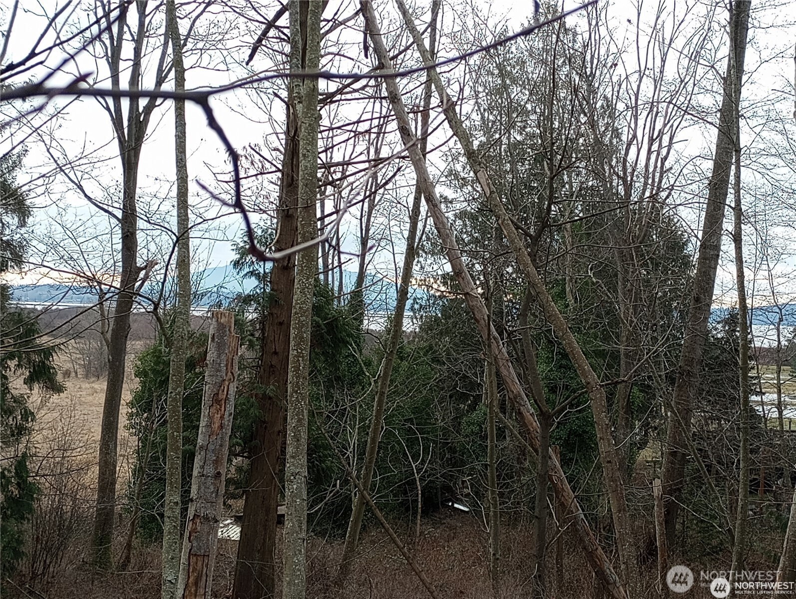 0 Red River Road Property Photo 1