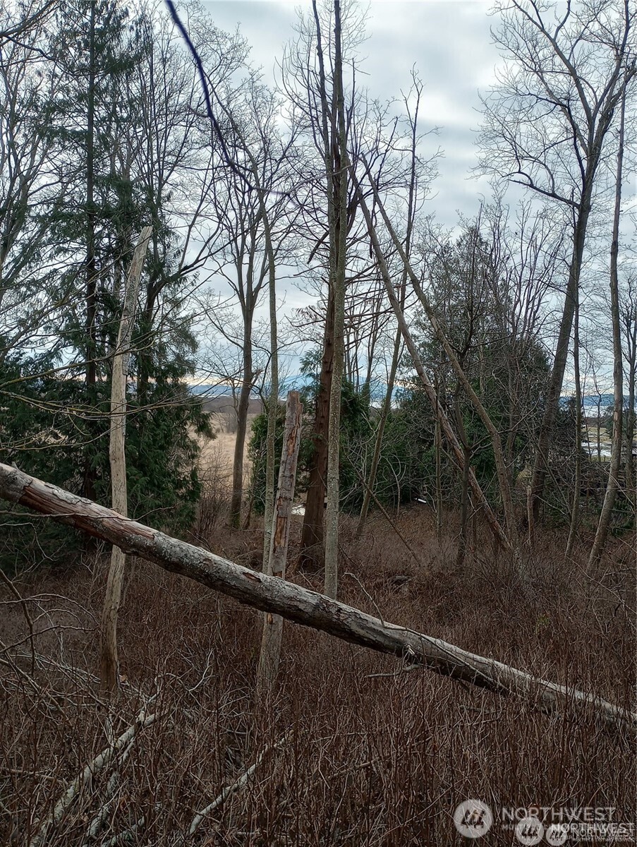 0 Red River Road Property Photo 2
