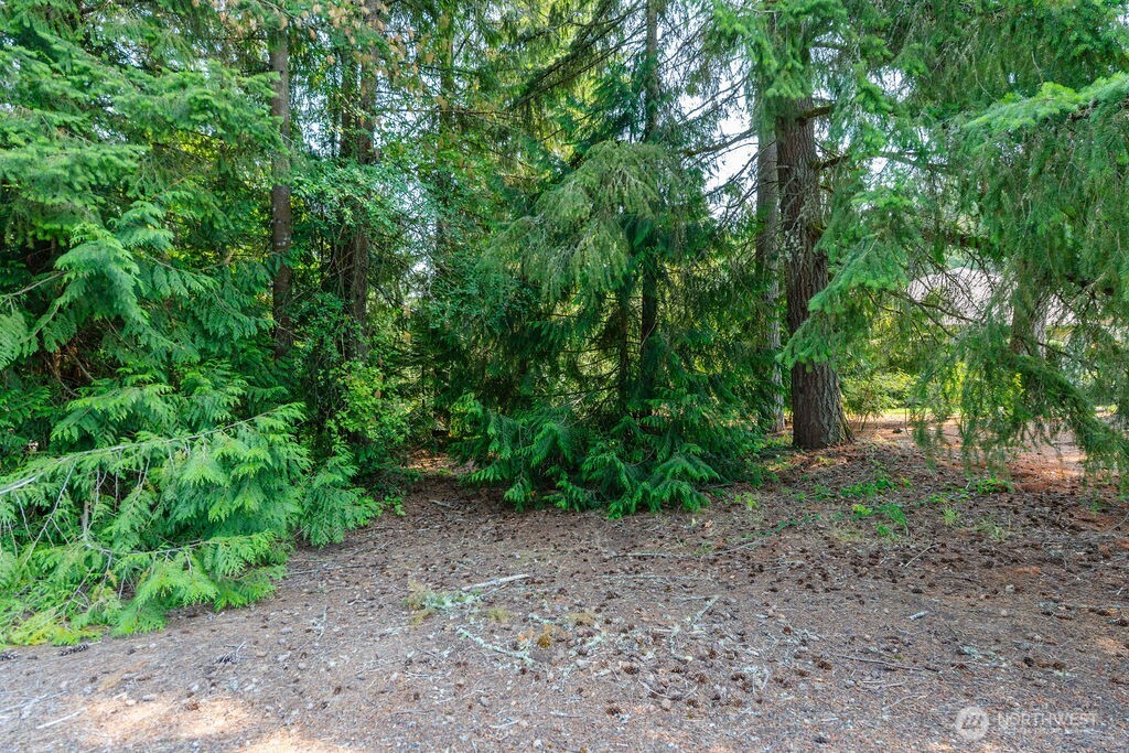 110 Rainier Court Property Photo 3
