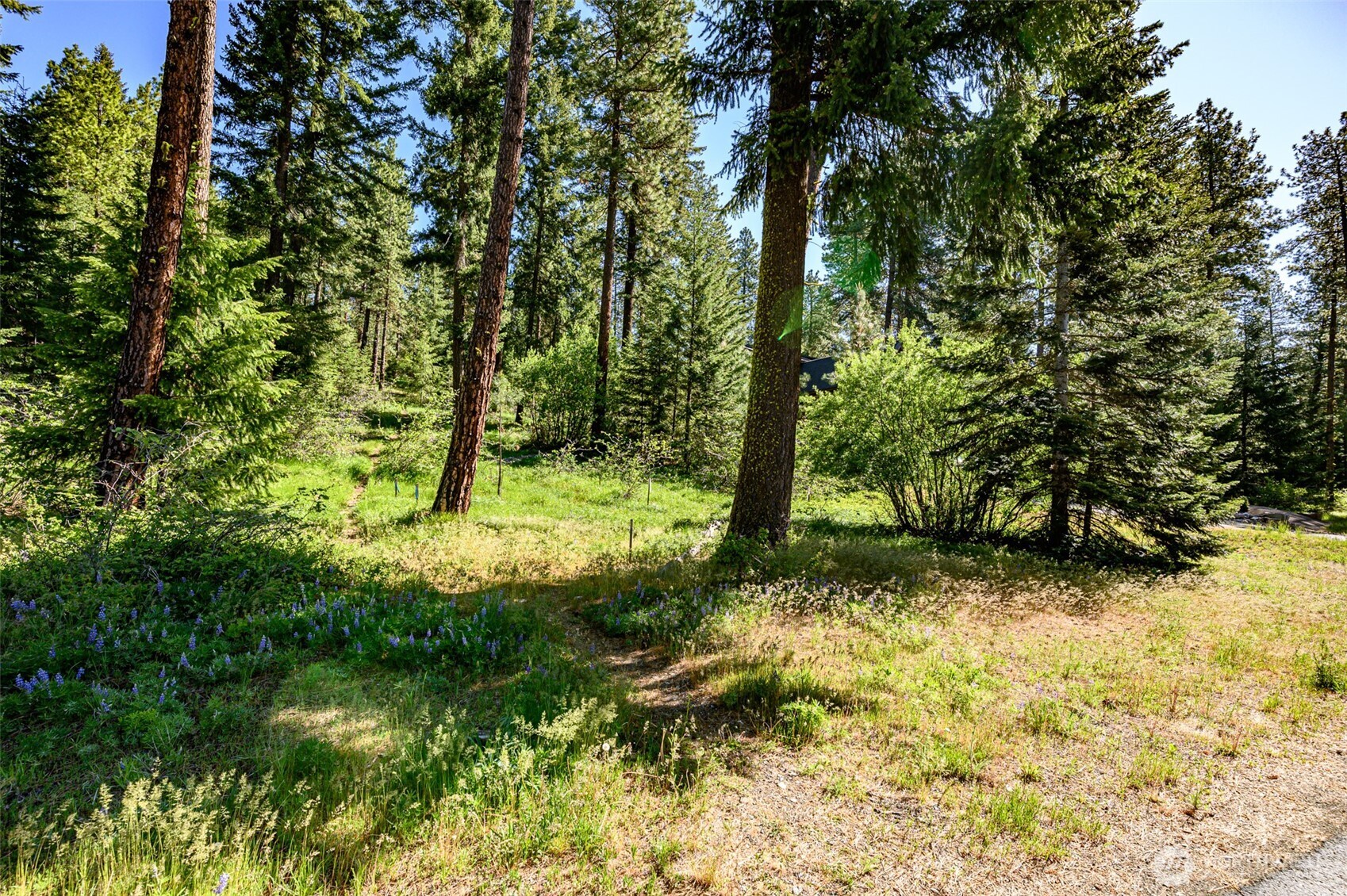 1980 Coal Mine Way Property Photo 1