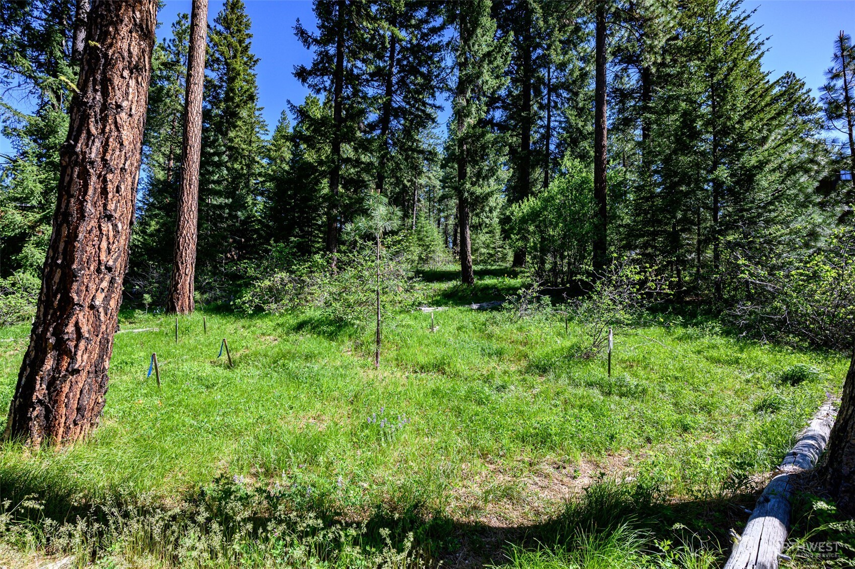1980 Coal Mine Way Property Photo 4
