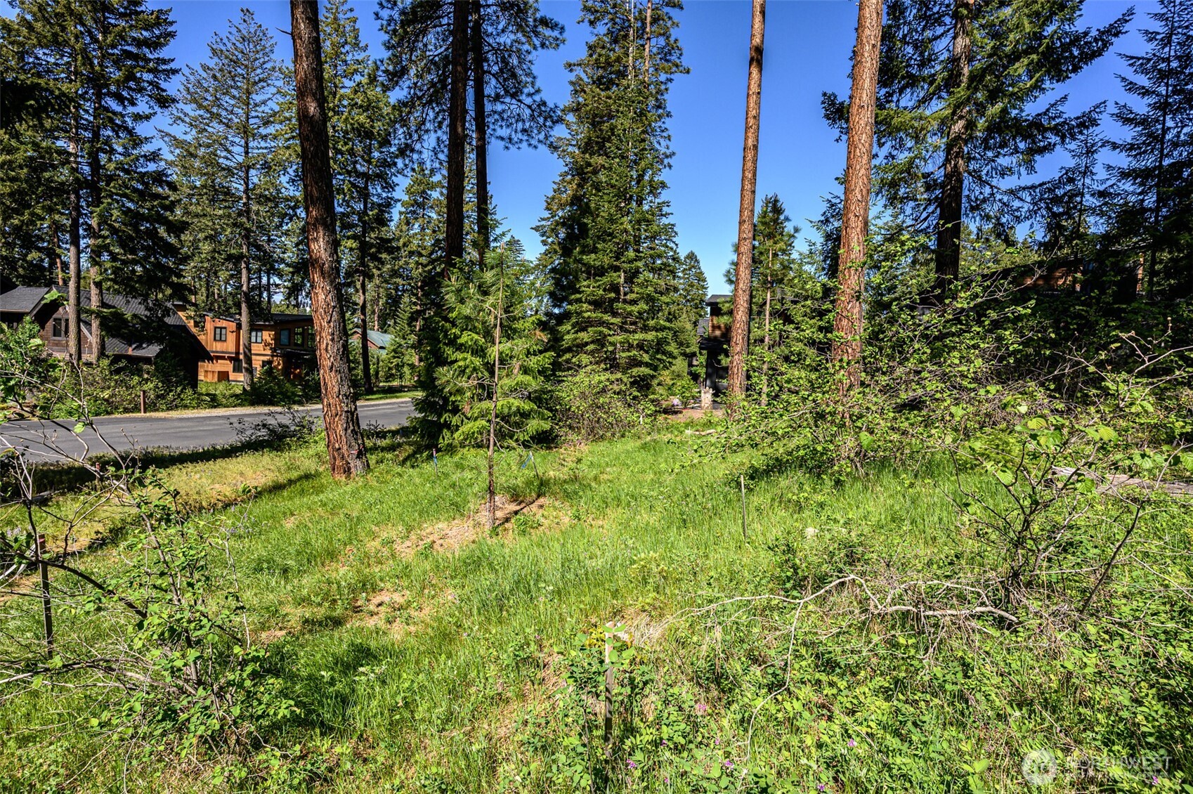 1980 Coal Mine Way Property Photo 5