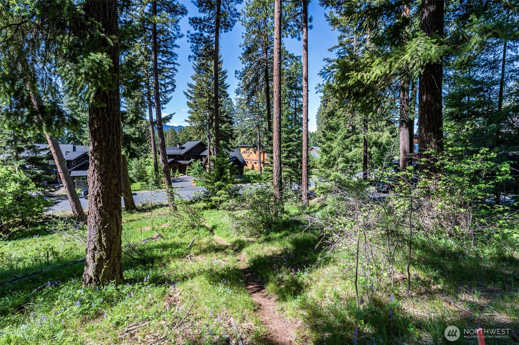 1980 Coal Mine Way Property Photo 6