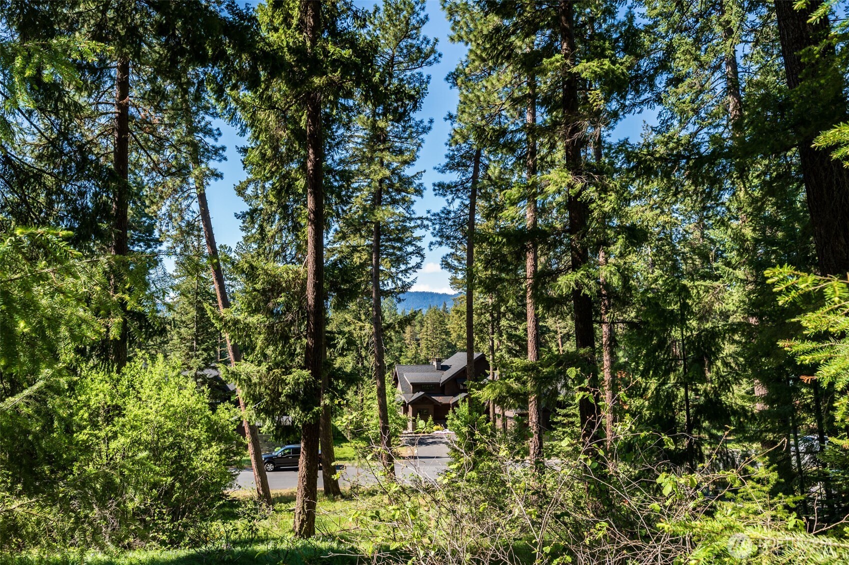 1980 Coal Mine Way Property Photo 23