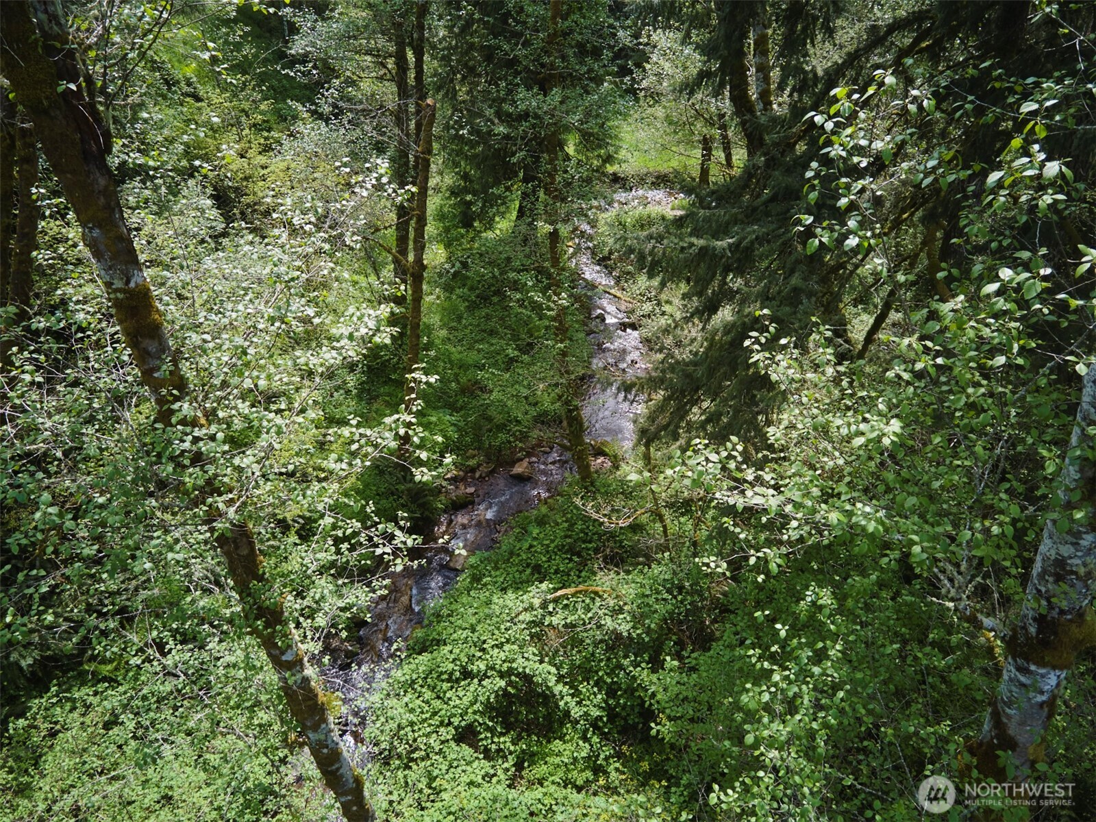 140 Skinner Road Property Photo 2