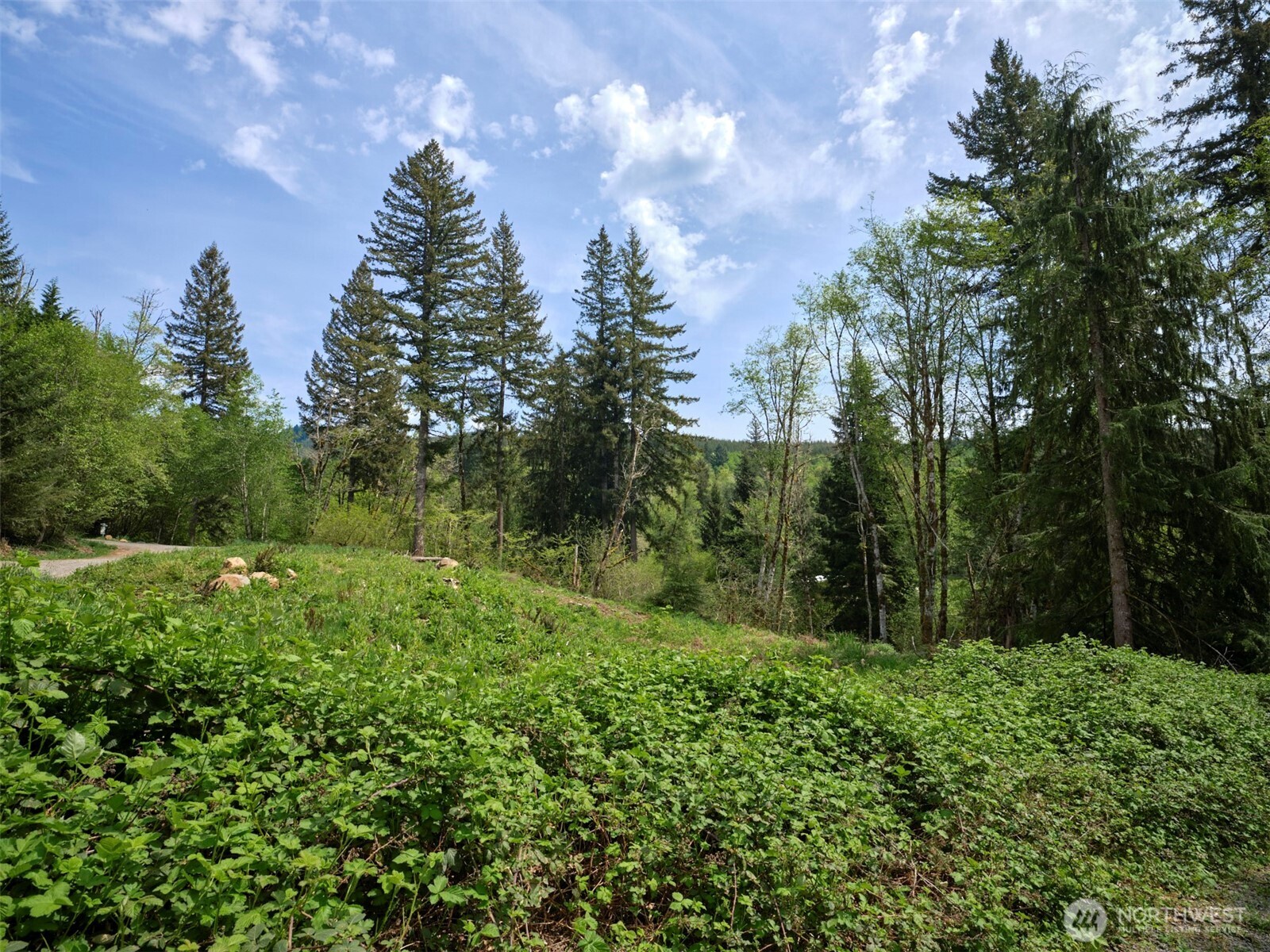 140 Skinner Road Property Photo 12