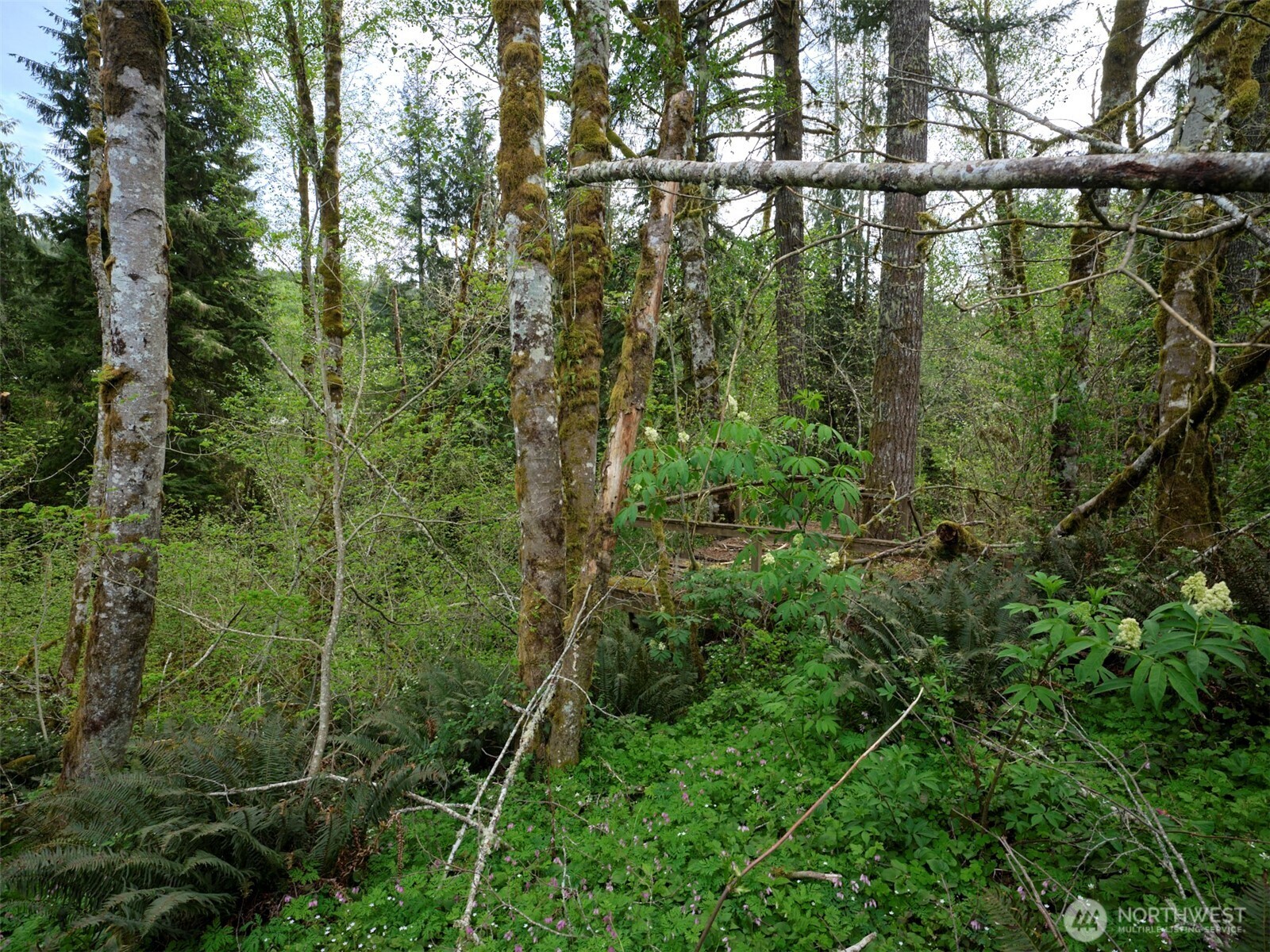 140 Skinner Road Property Photo 15