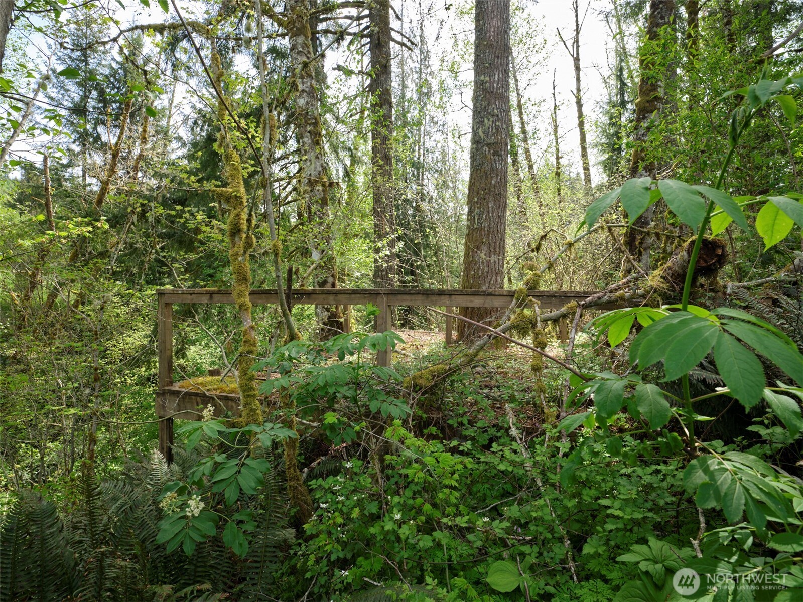 140 Skinner Road Property Photo 16