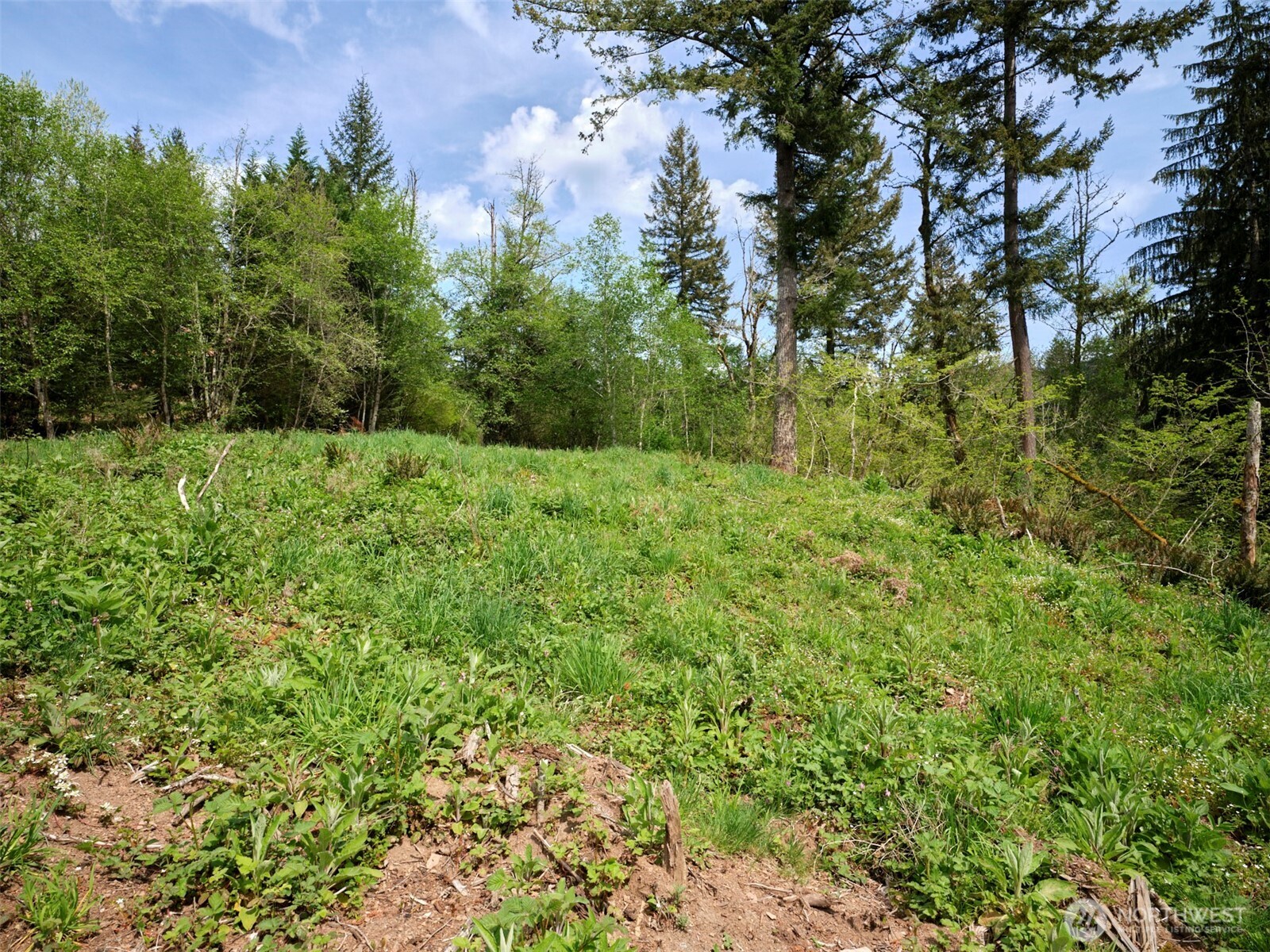 140 Skinner Road Property Photo 19