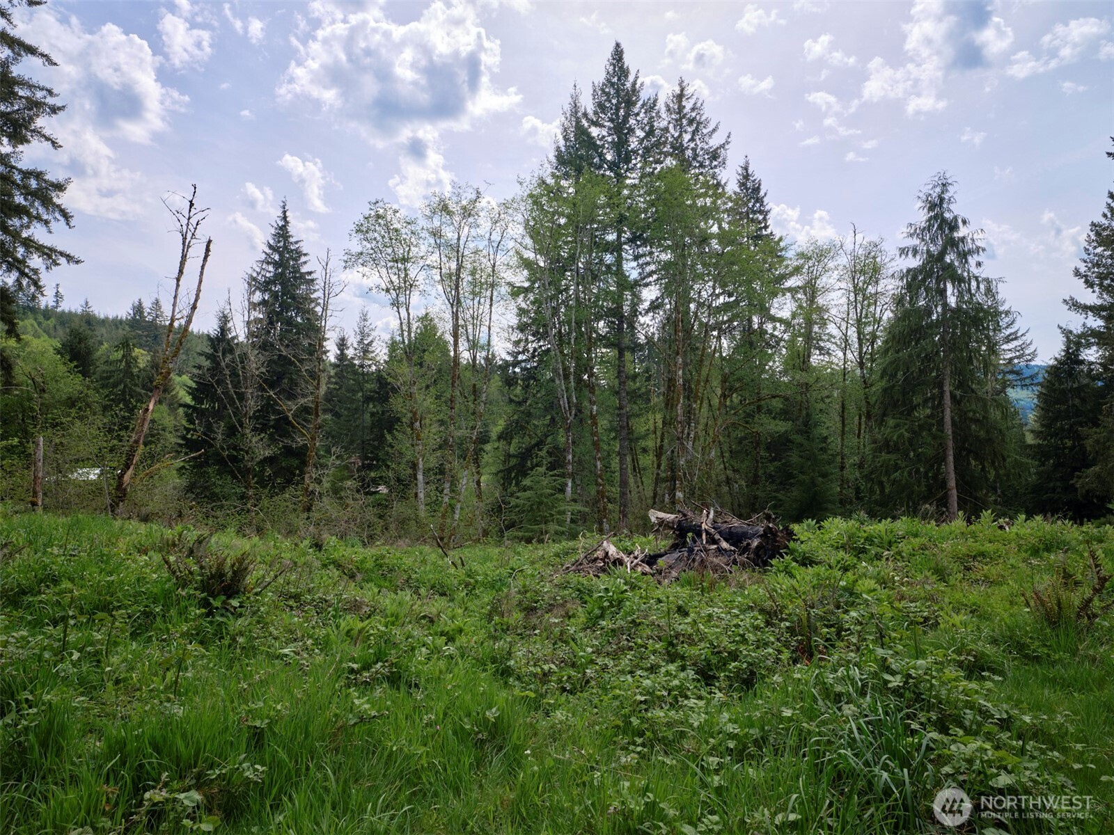 140 Skinner Road Property Photo 20