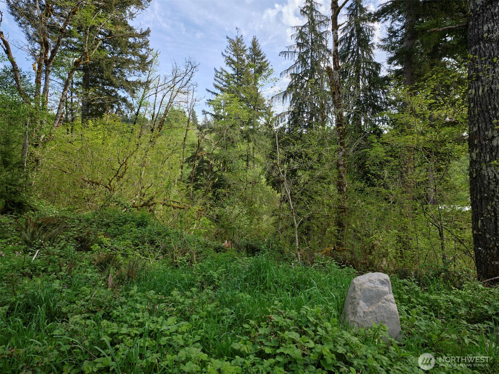 140 Skinner Road Property Photo 21
