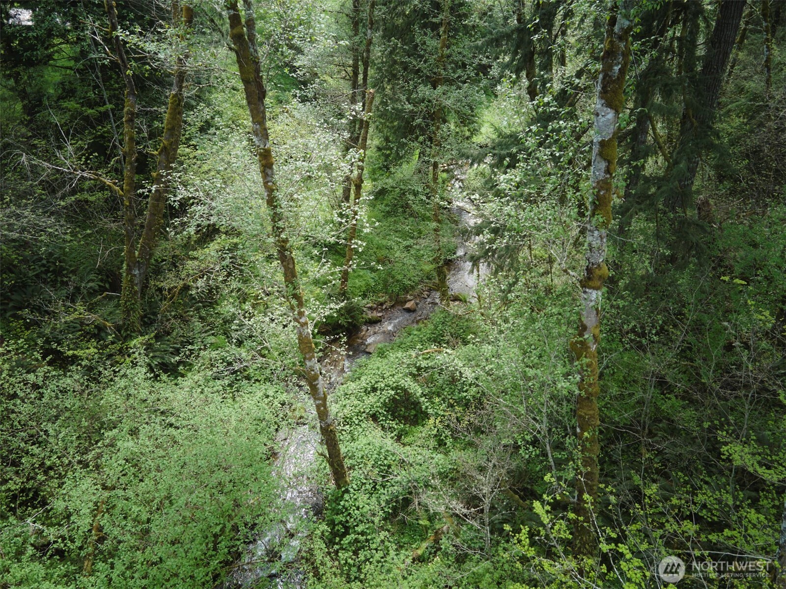 140 Skinner Road Property Photo 23