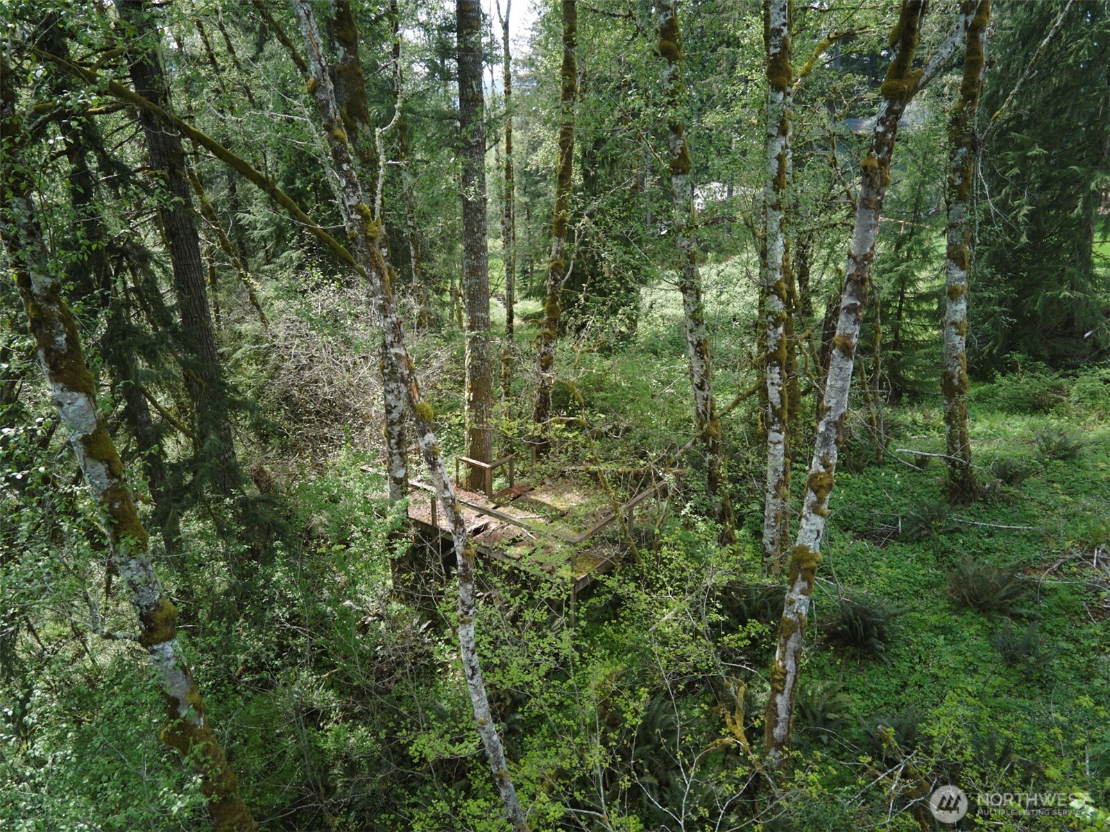 140 Skinner Road Property Photo 24