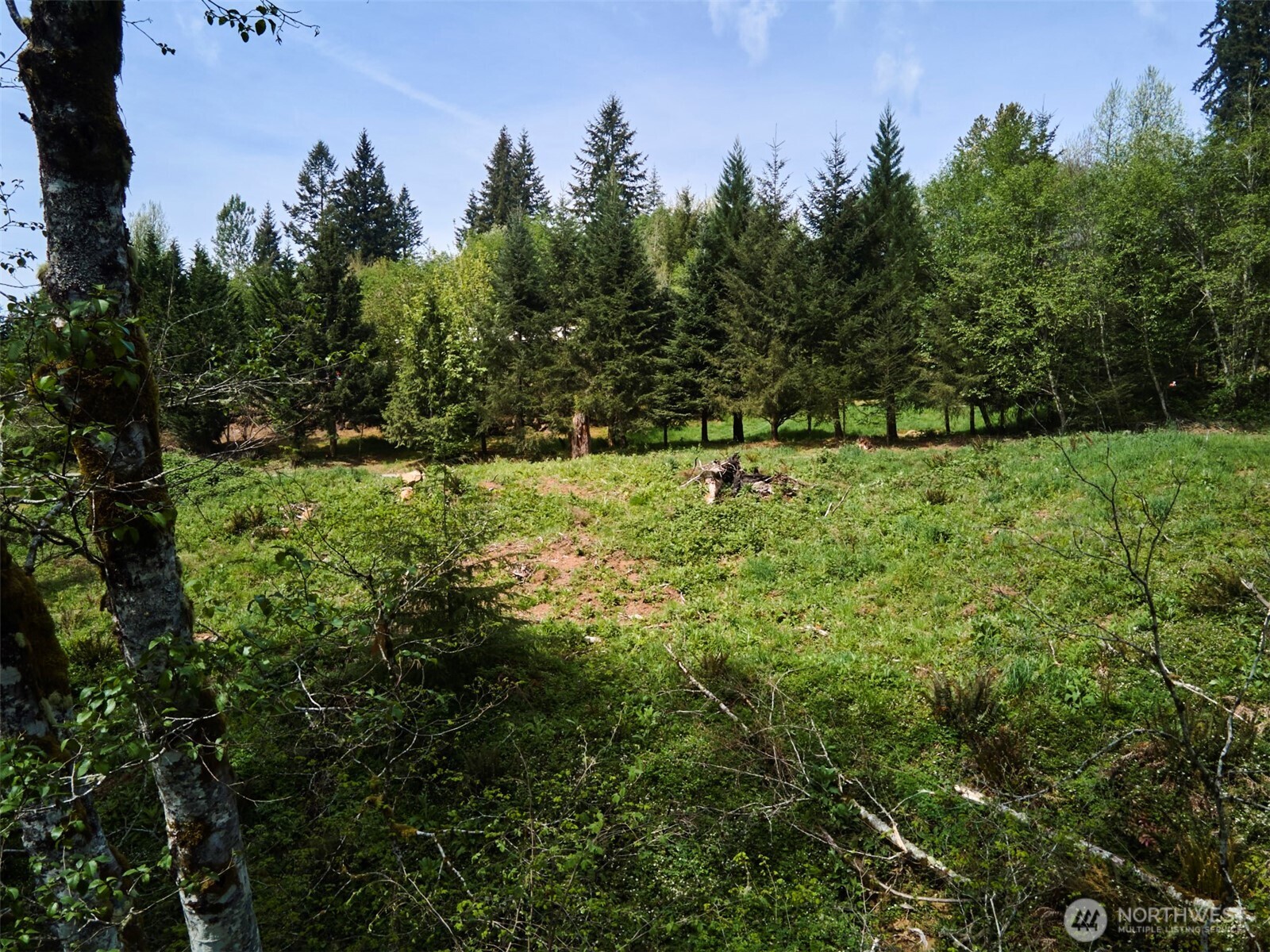 140 Skinner Road Property Photo 25