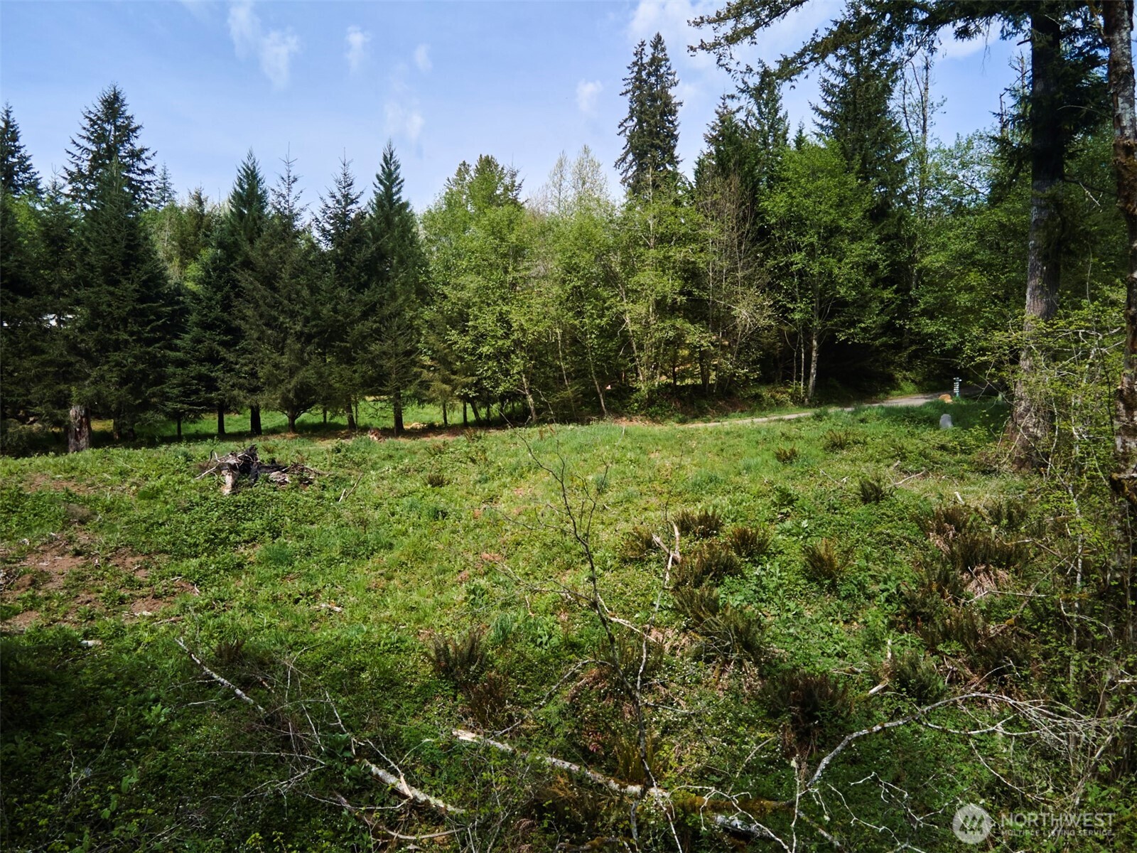 140 Skinner Road Property Photo 26