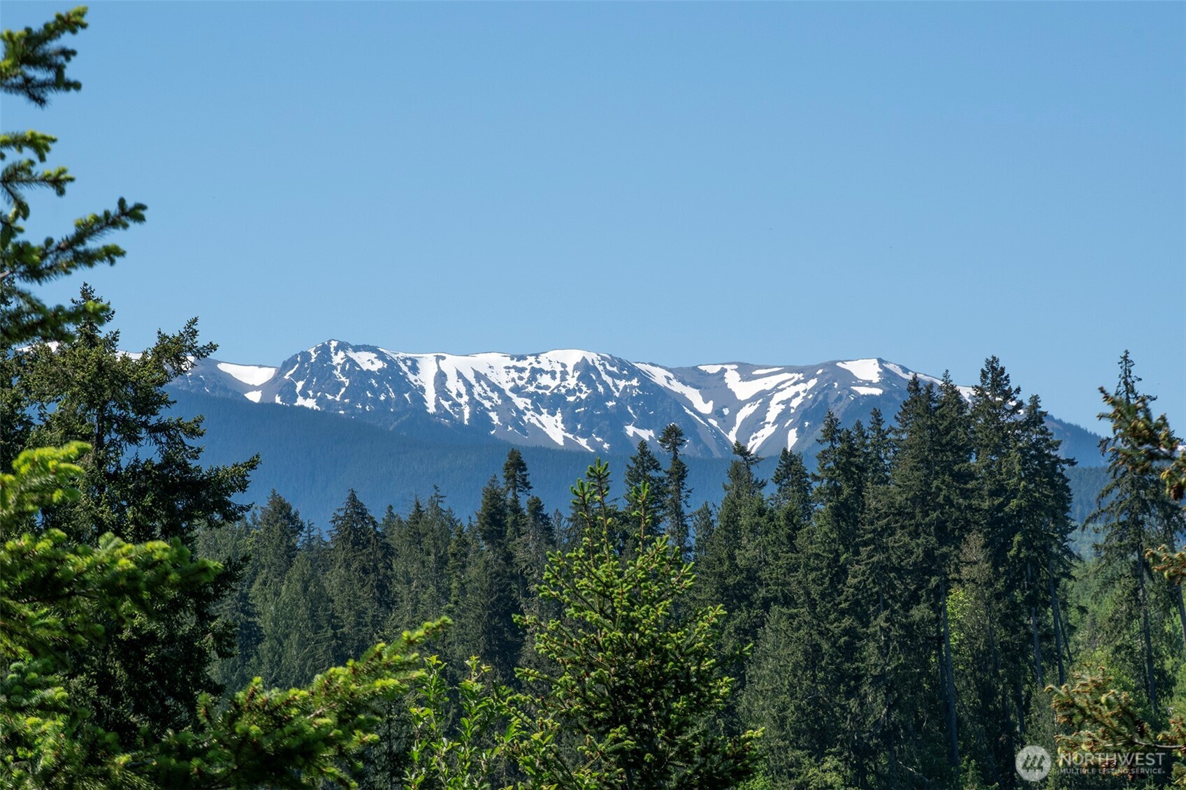 9999 Blue Mountain Road Property Photo 3