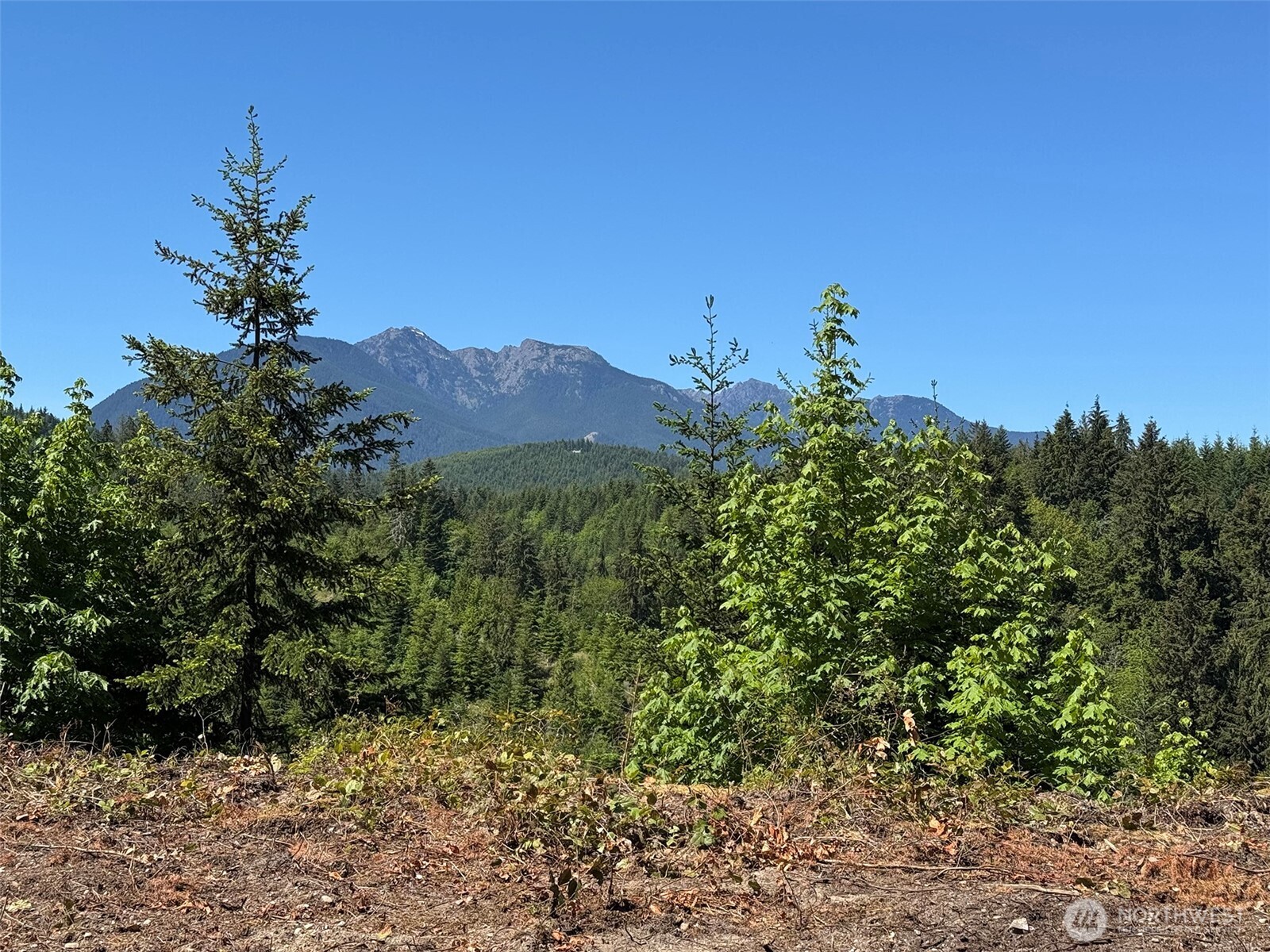 9999 Blue Mountain Road Property Photo 9