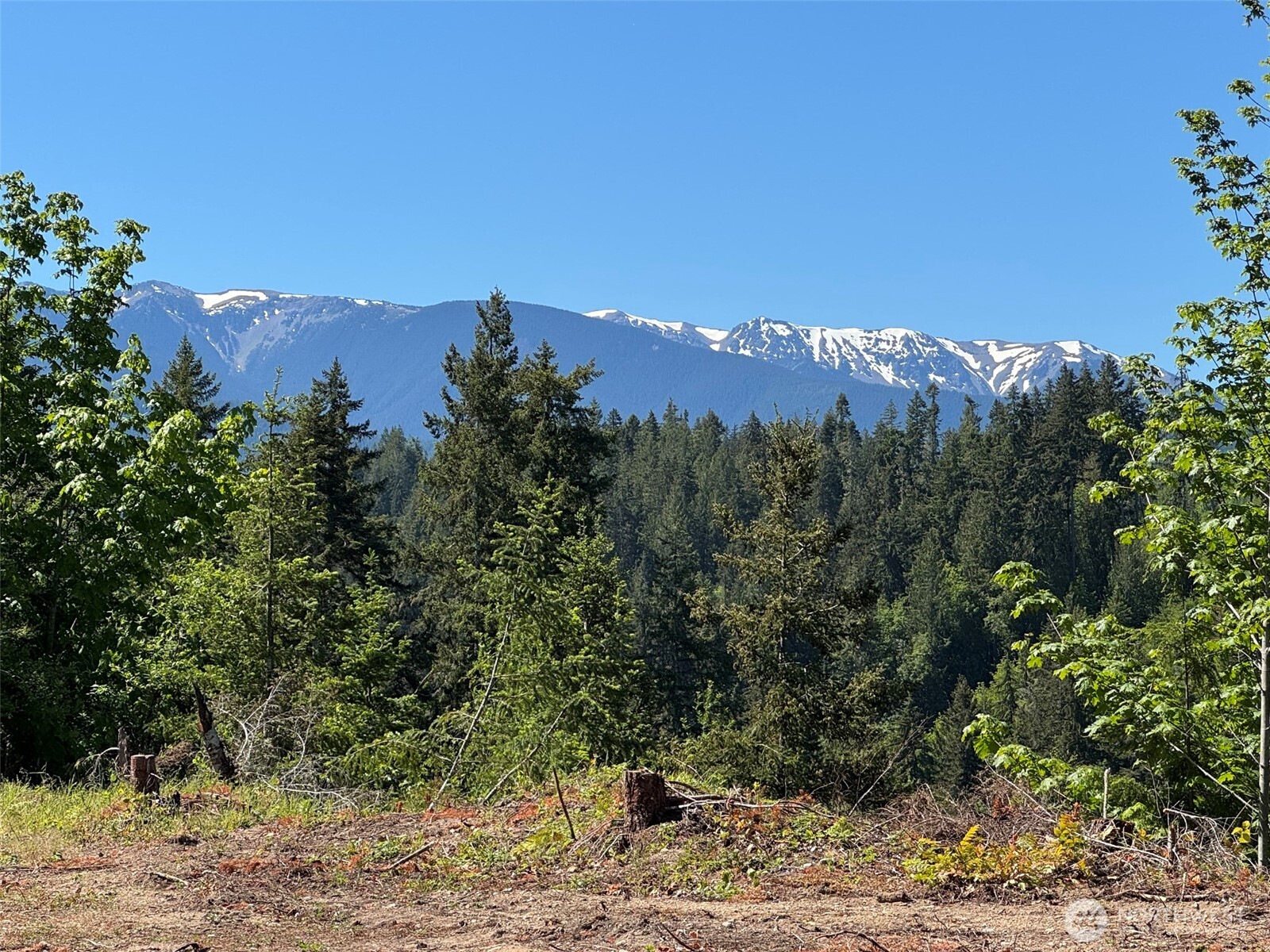 9999 Blue Mountain Road Property Photo 10