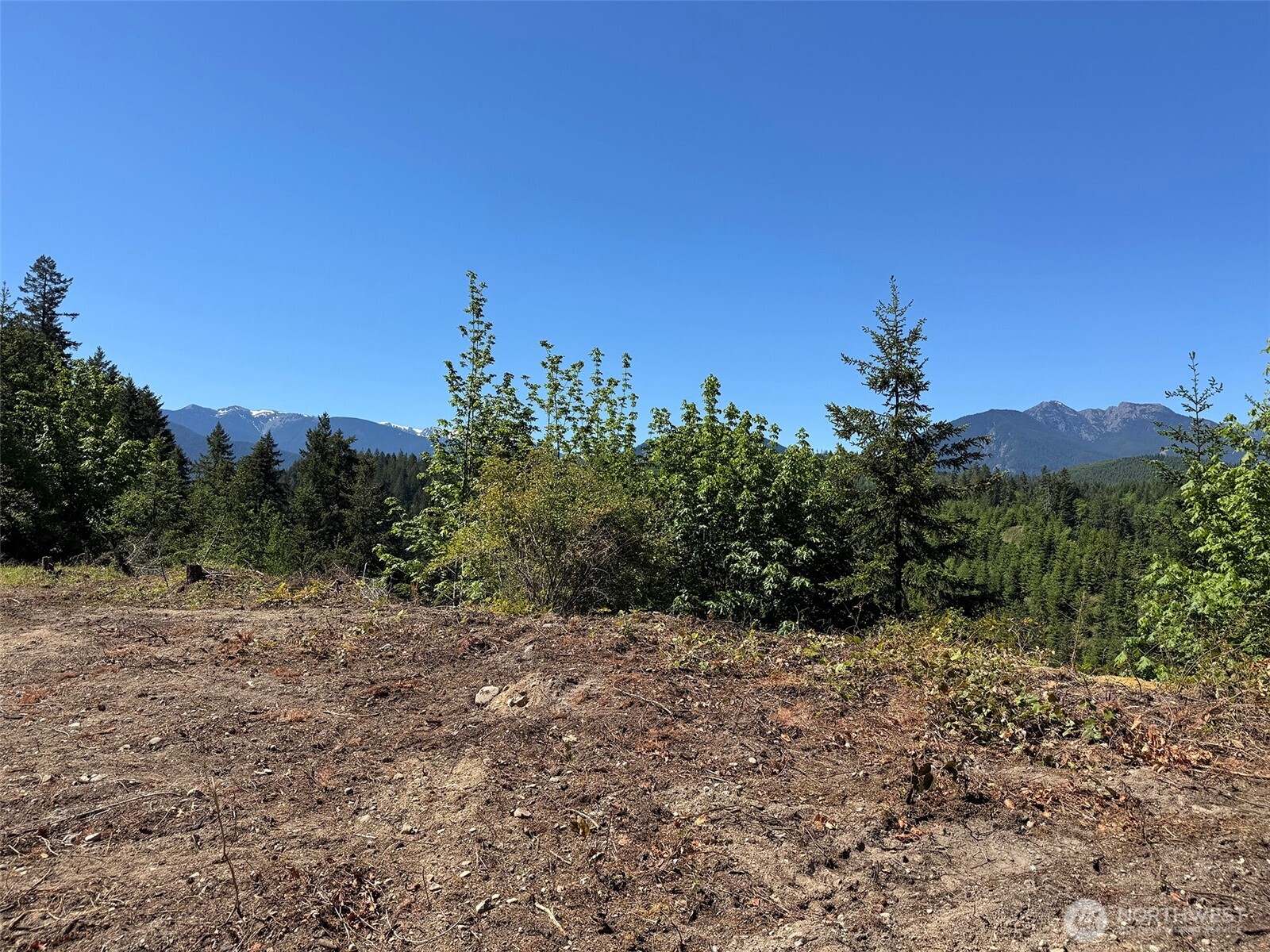 9999 Blue Mountain Road Property Photo 11