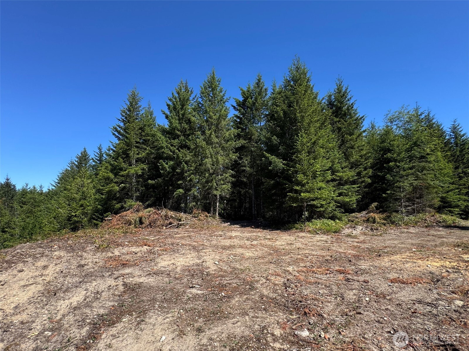 9999 Blue Mountain Road Property Photo 12