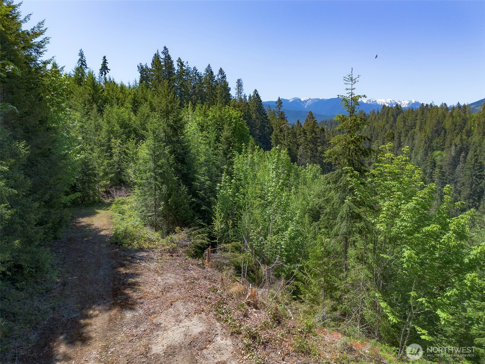 9999 Blue Mountain Road Property Photo 16