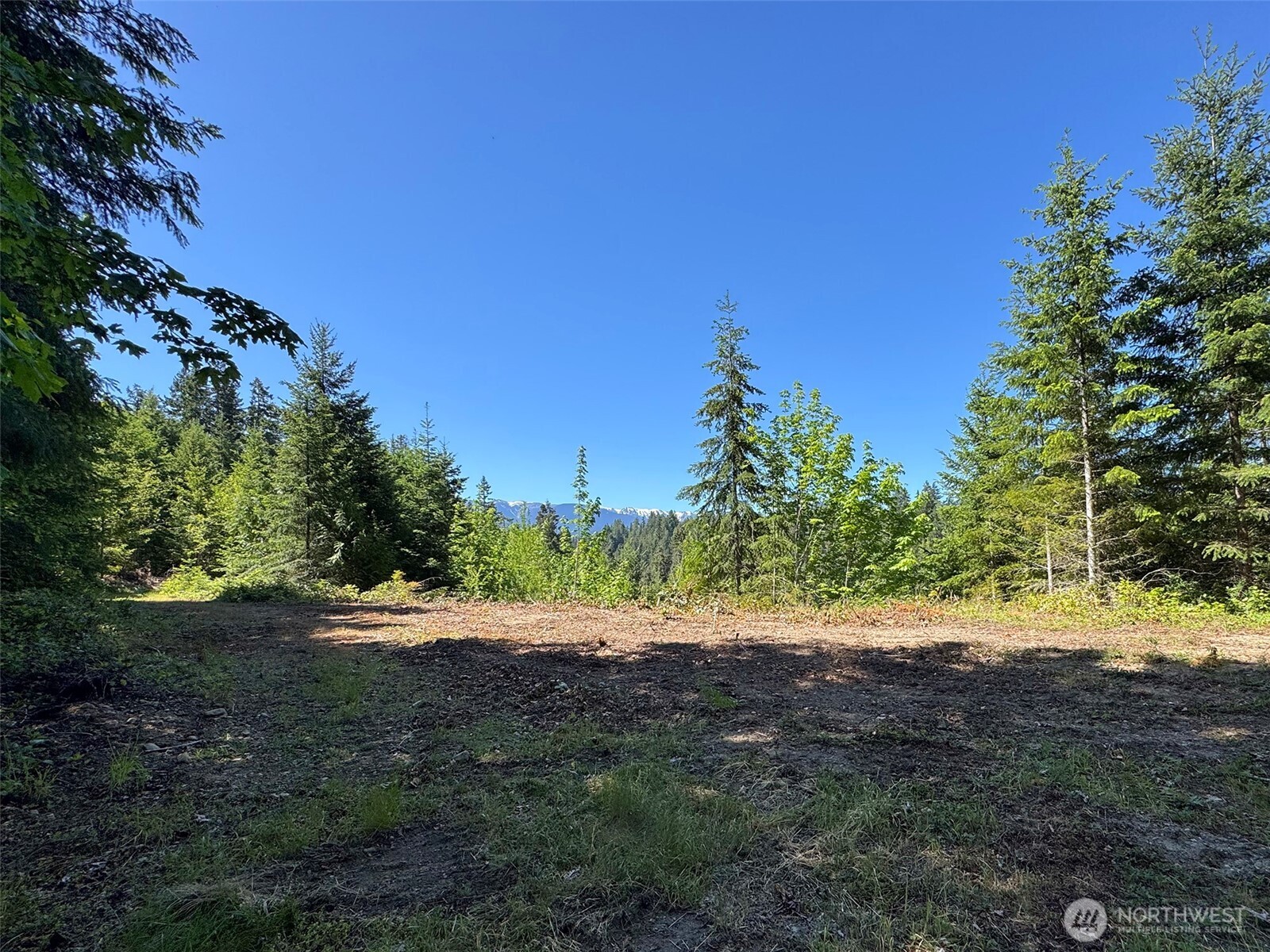 9999 Blue Mountain Road Property Photo 17
