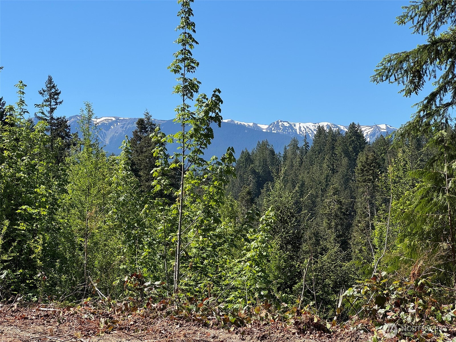 9999 Blue Mountain Road Property Photo 18