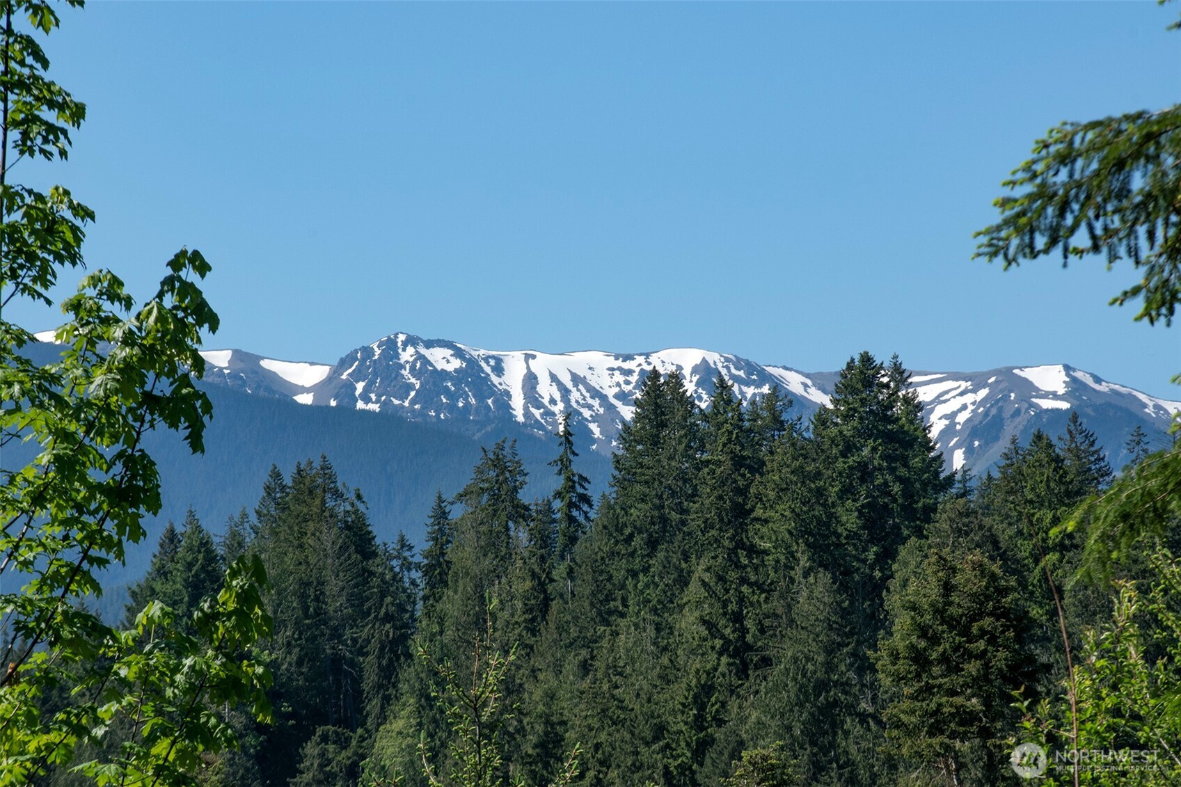 9999 Blue Mountain Road Property Photo 19