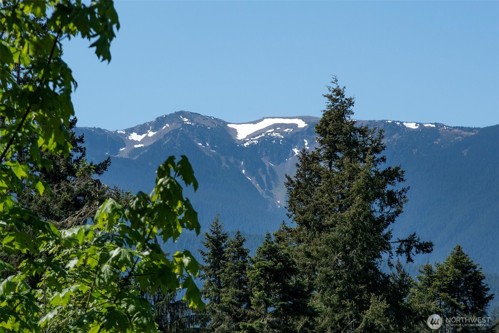 9999 Blue Mountain Road Property Photo 22