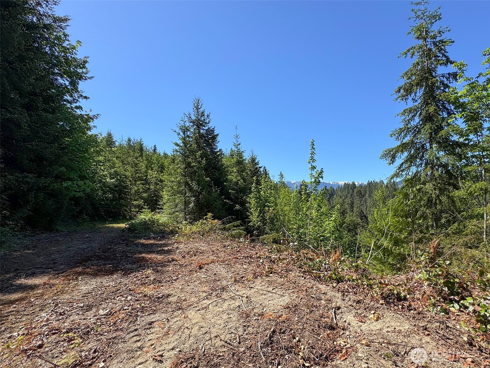 9999 Blue Mountain Road Property Photo 23