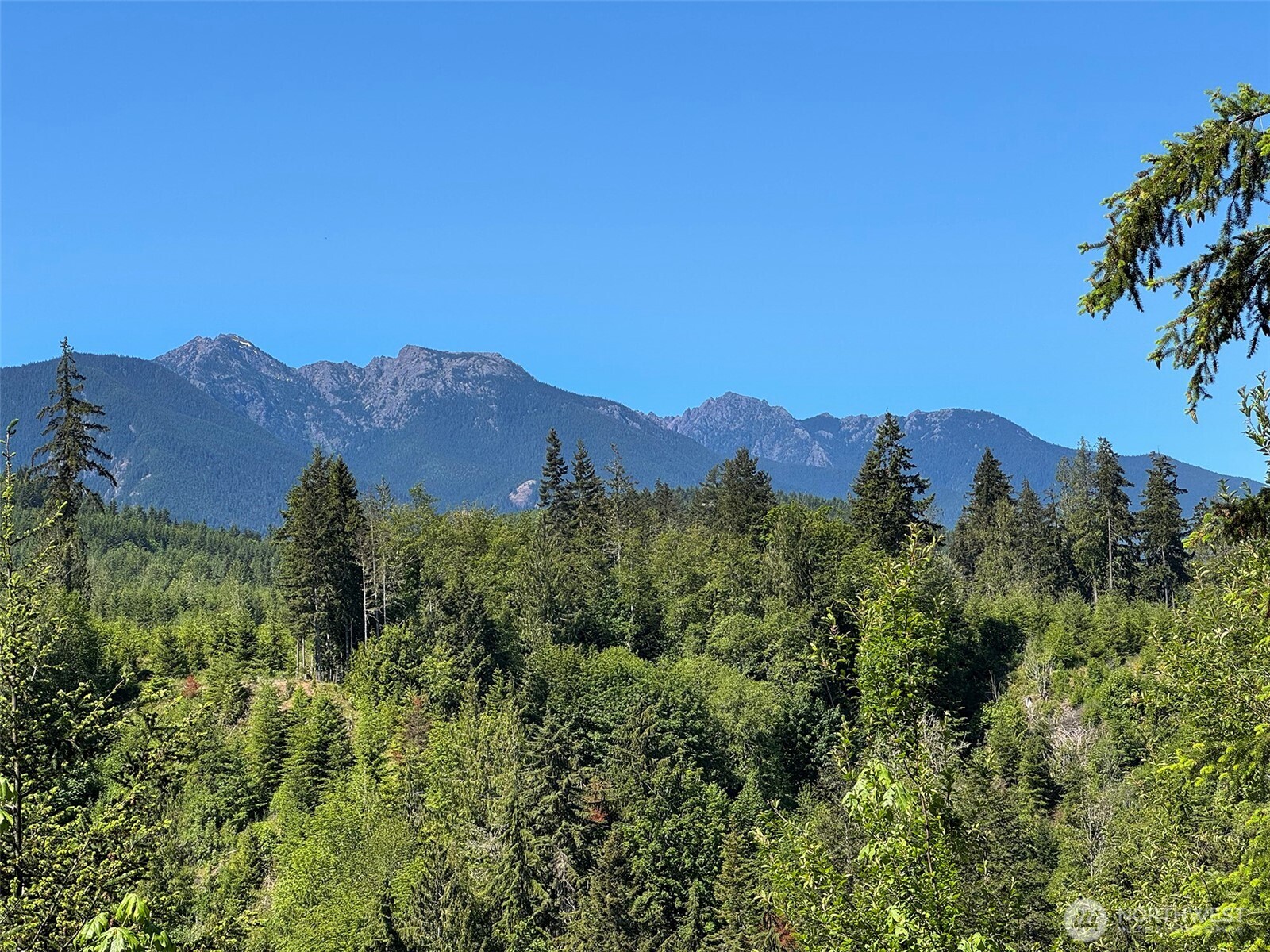 9999 Blue Mountain Road Property Photo 25