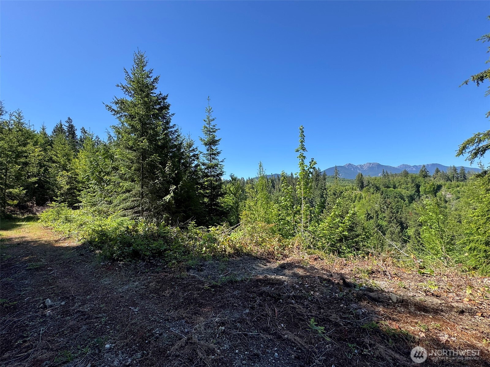 9999 Blue Mountain Road Property Photo 26