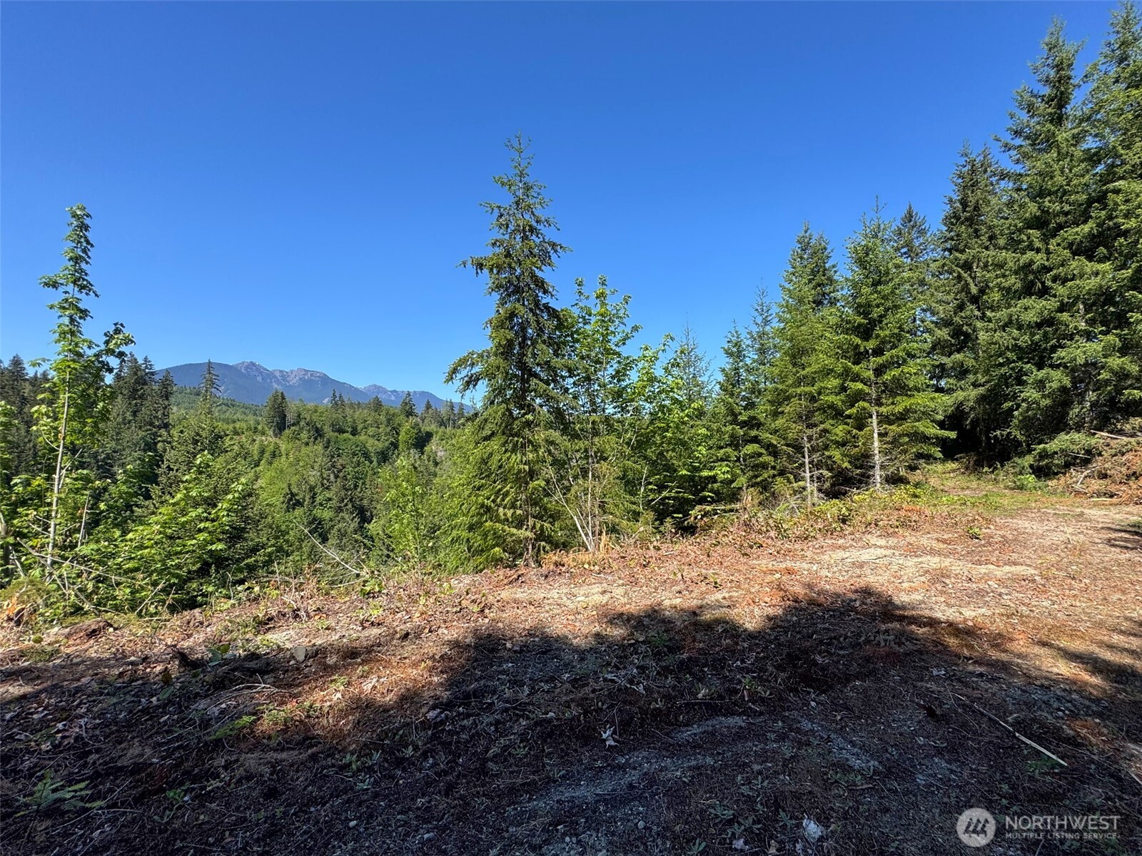 9999 Blue Mountain Road Property Photo 27