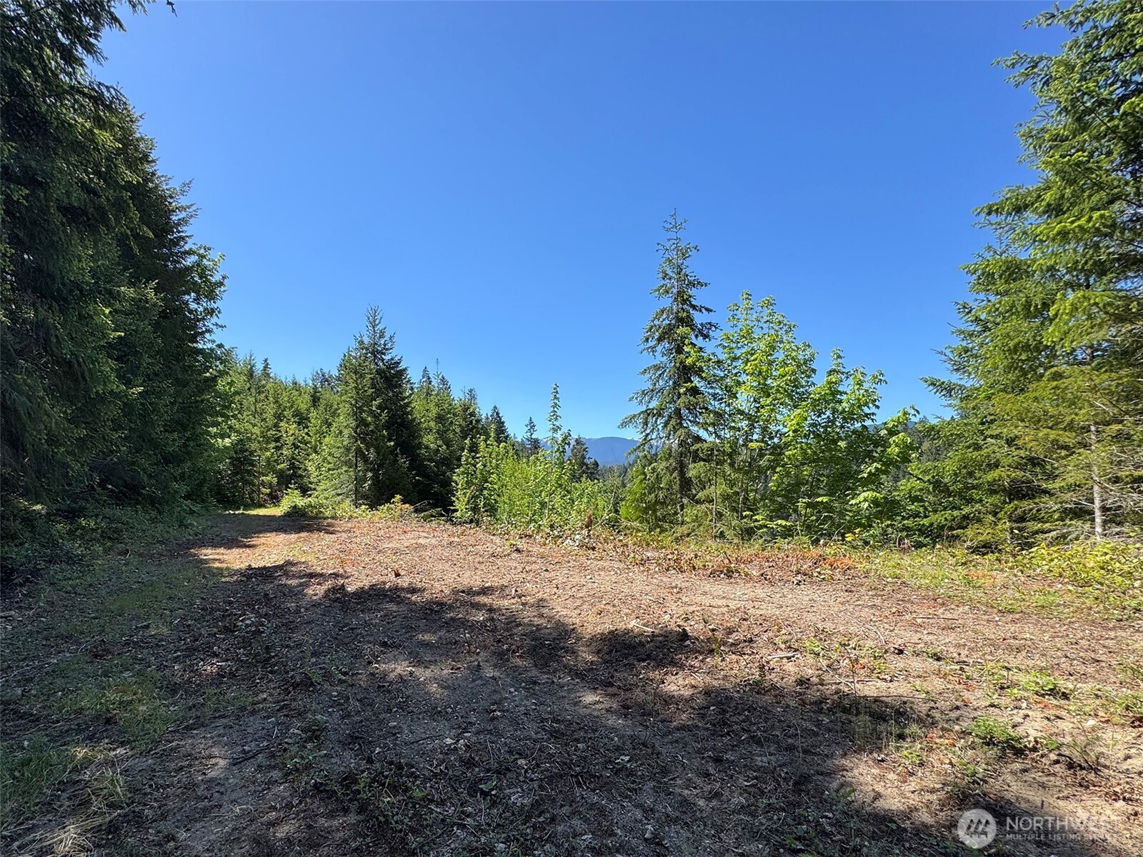 9999 Blue Mountain Road Property Photo 28