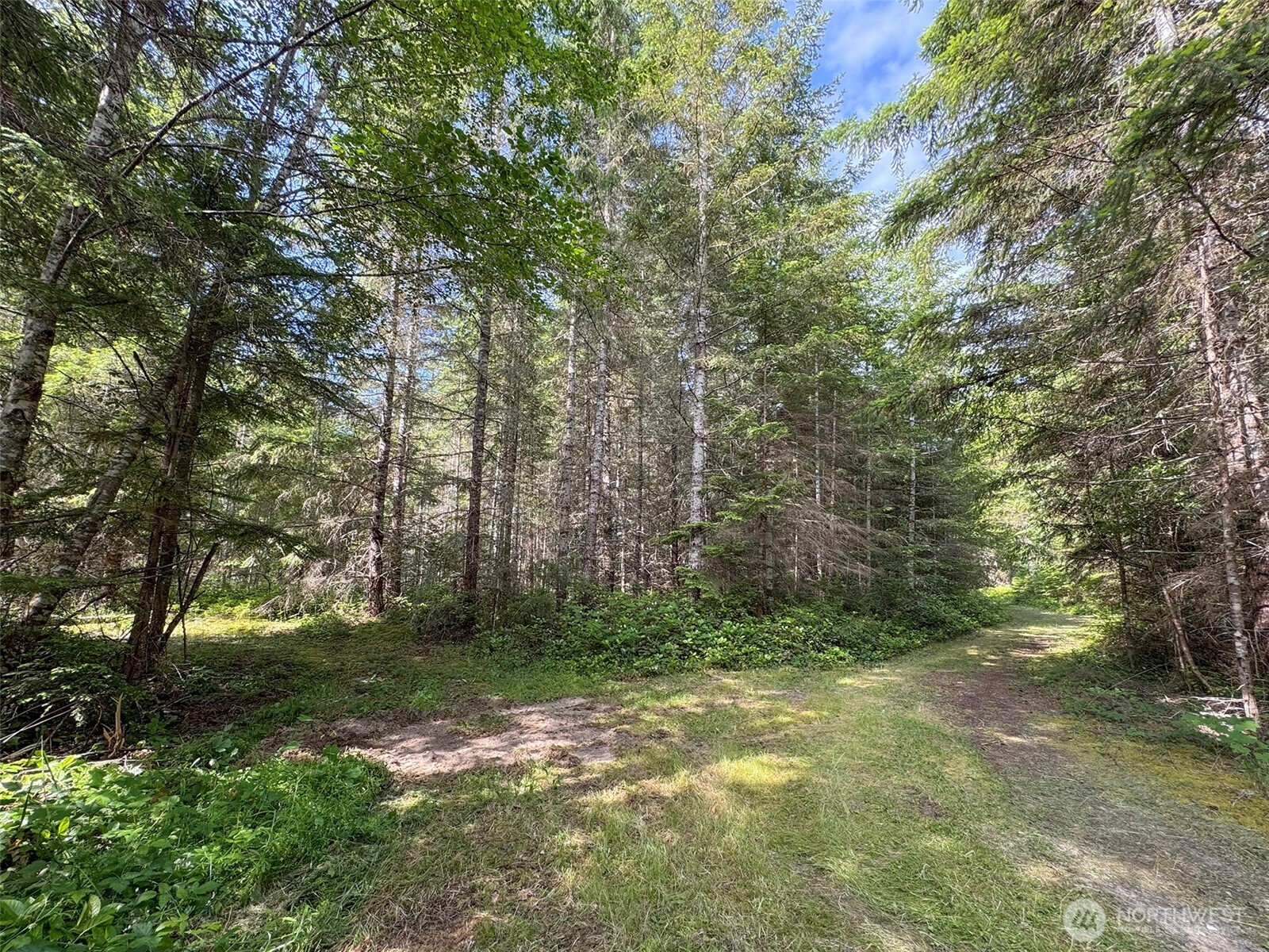 9999 Blue Mountain Road Property Photo 32