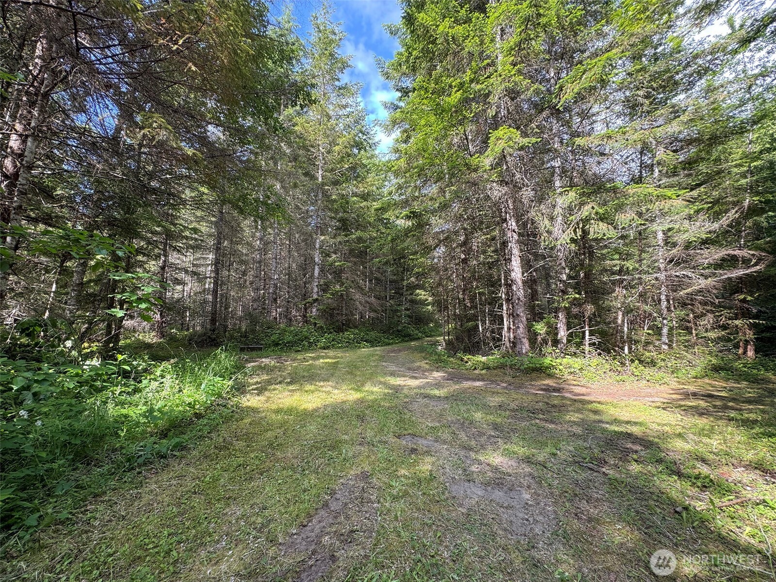 9999 Blue Mountain Road Property Photo 34