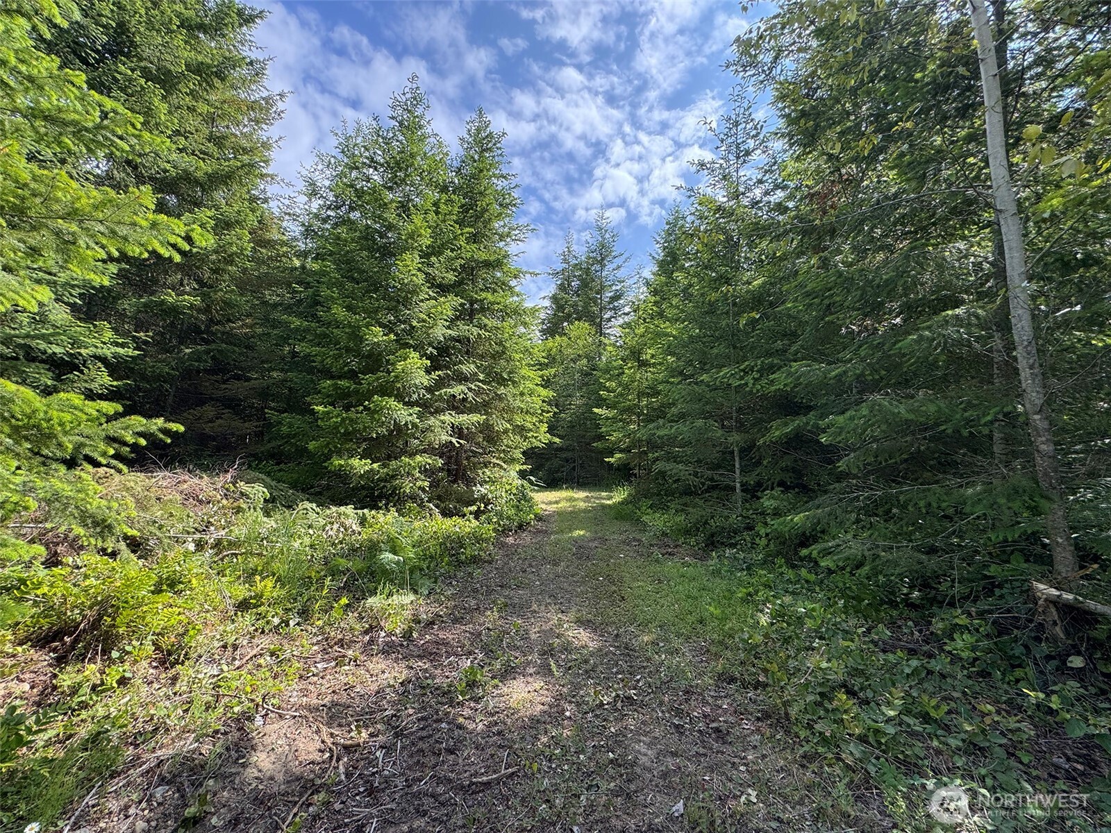 9999 Blue Mountain Road Property Photo 35