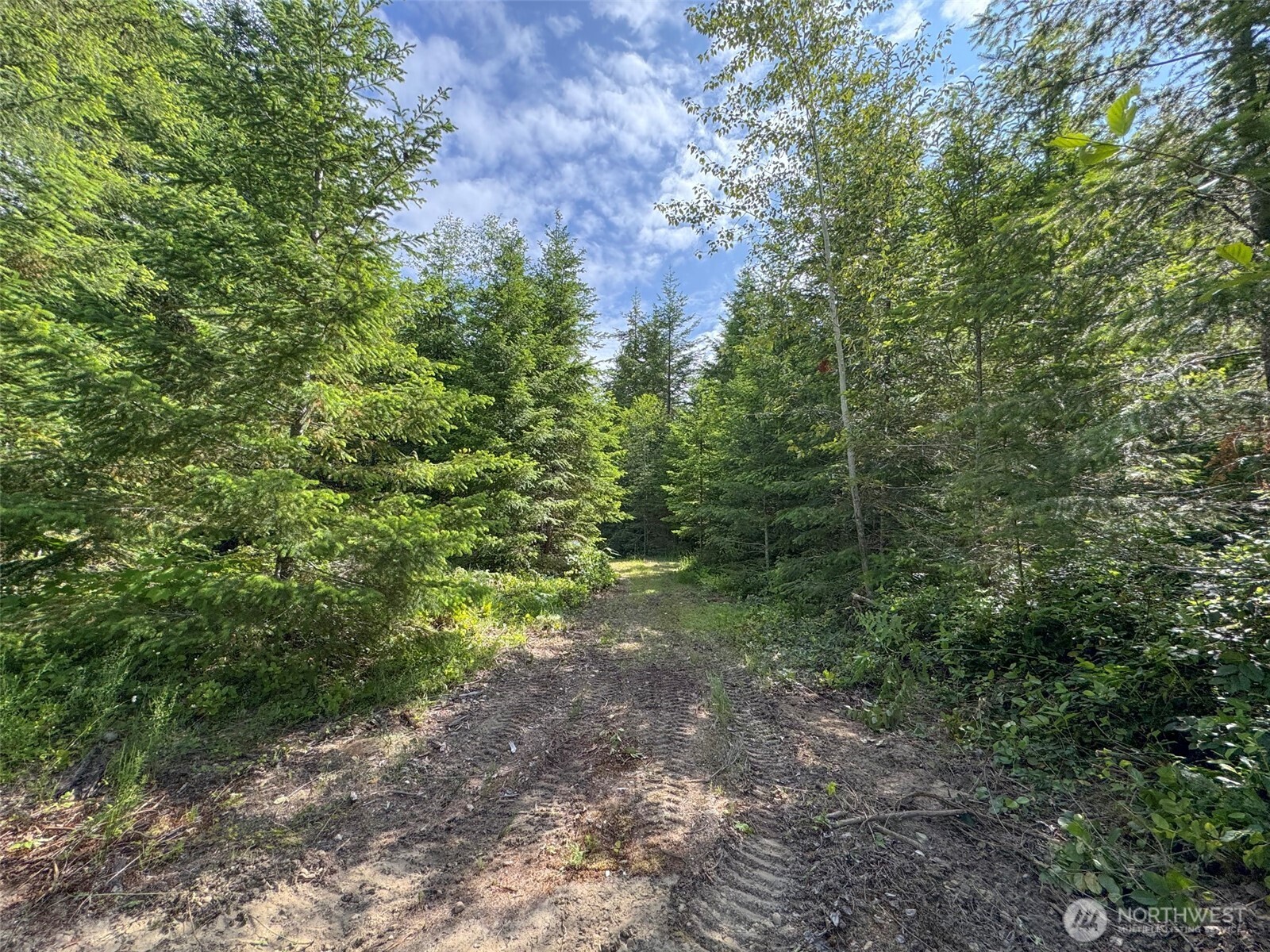 9999 Blue Mountain Road Property Photo 36
