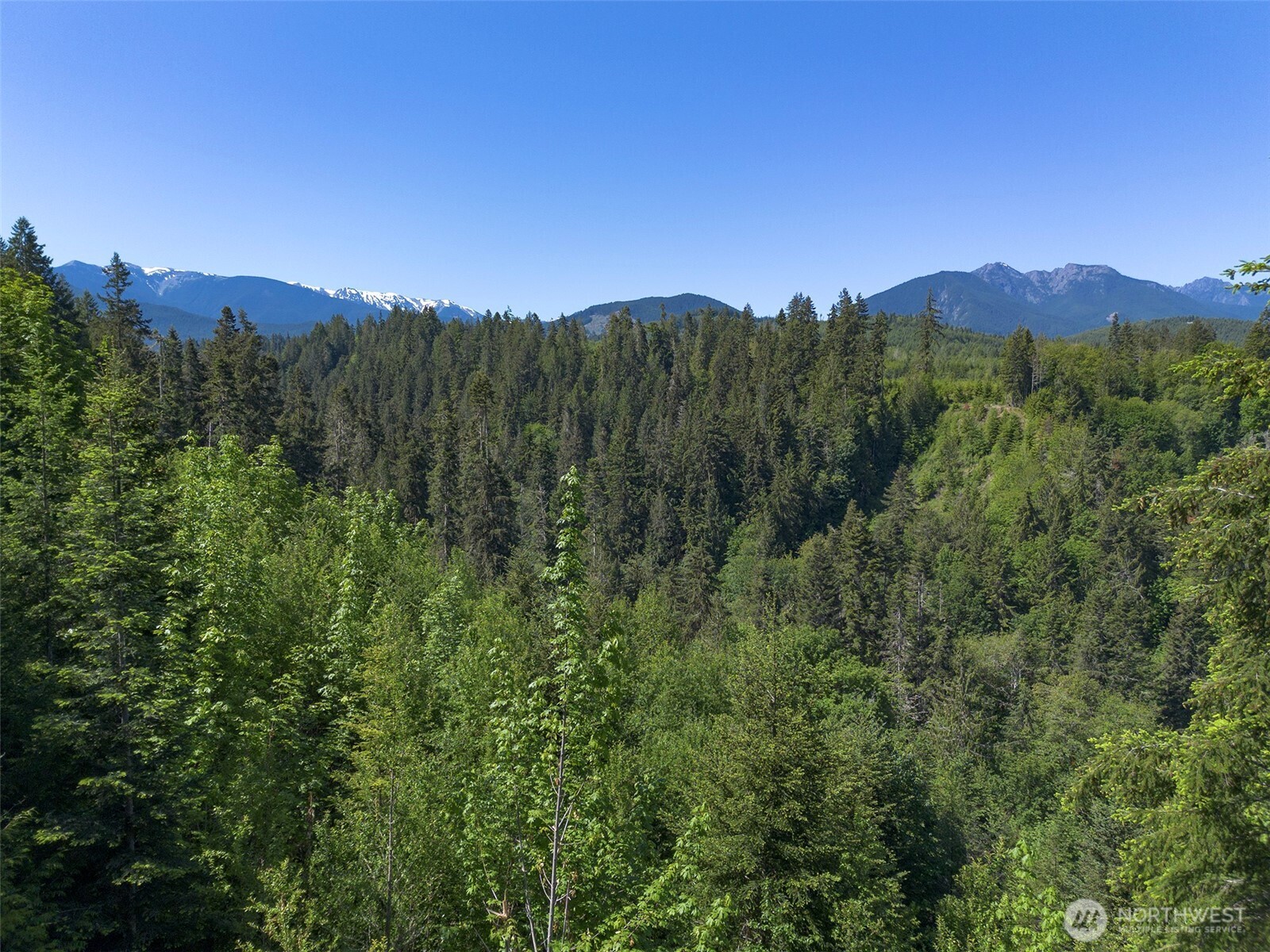 9999 Blue Mountain Road Property Photo 39