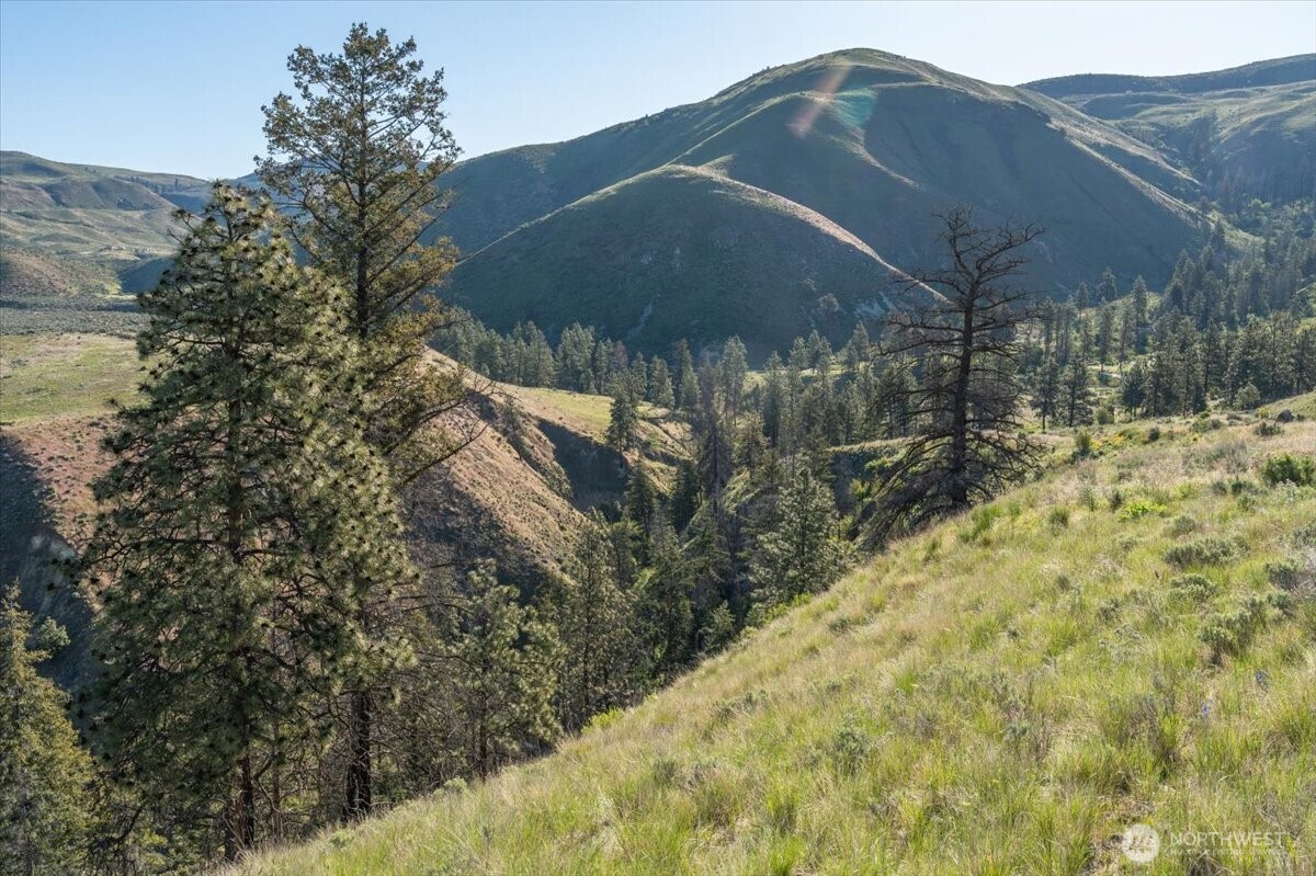 25 Chelan Hills Acres Road Property Photo 5
