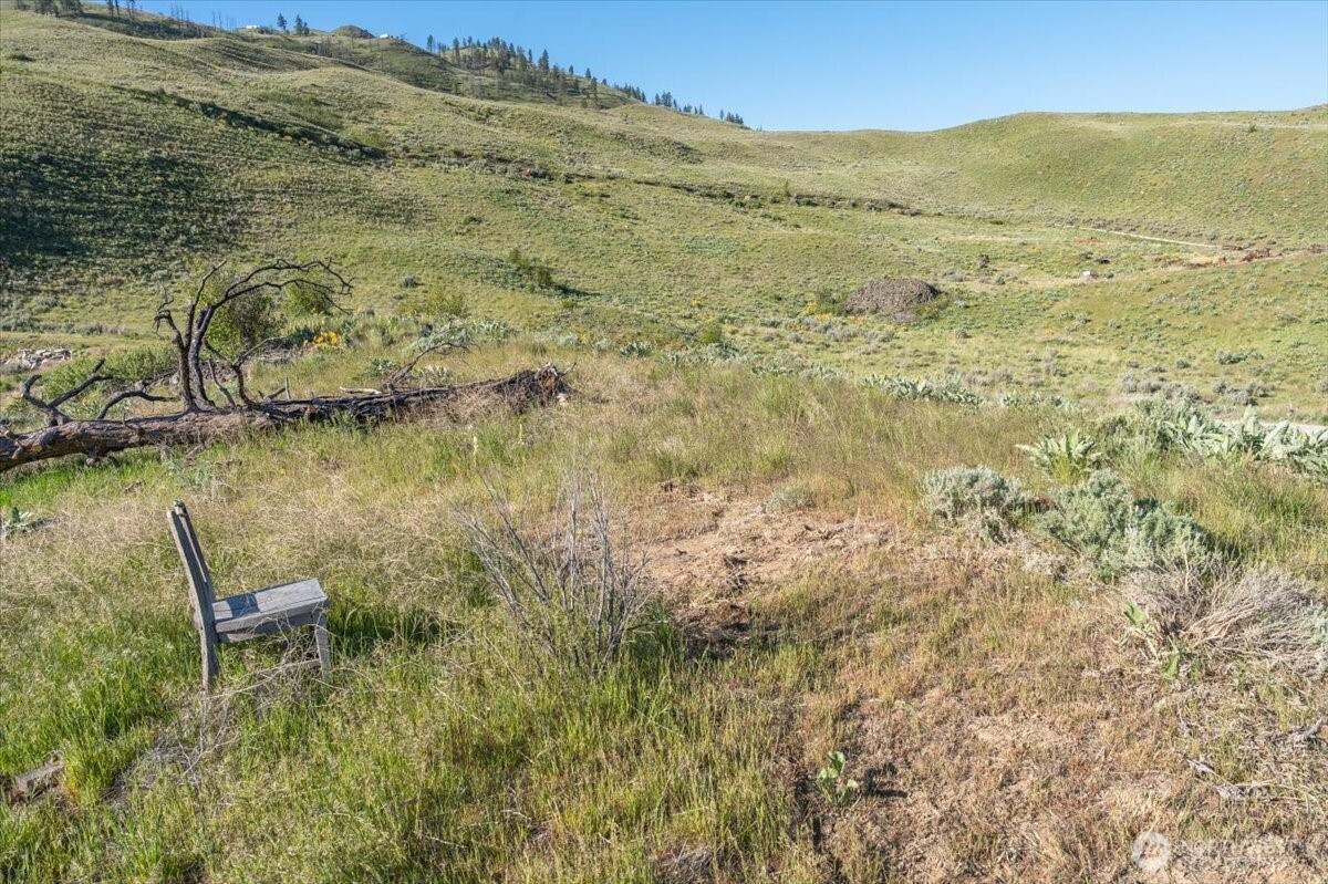 25 Chelan Hills Acres Road Property Photo 8