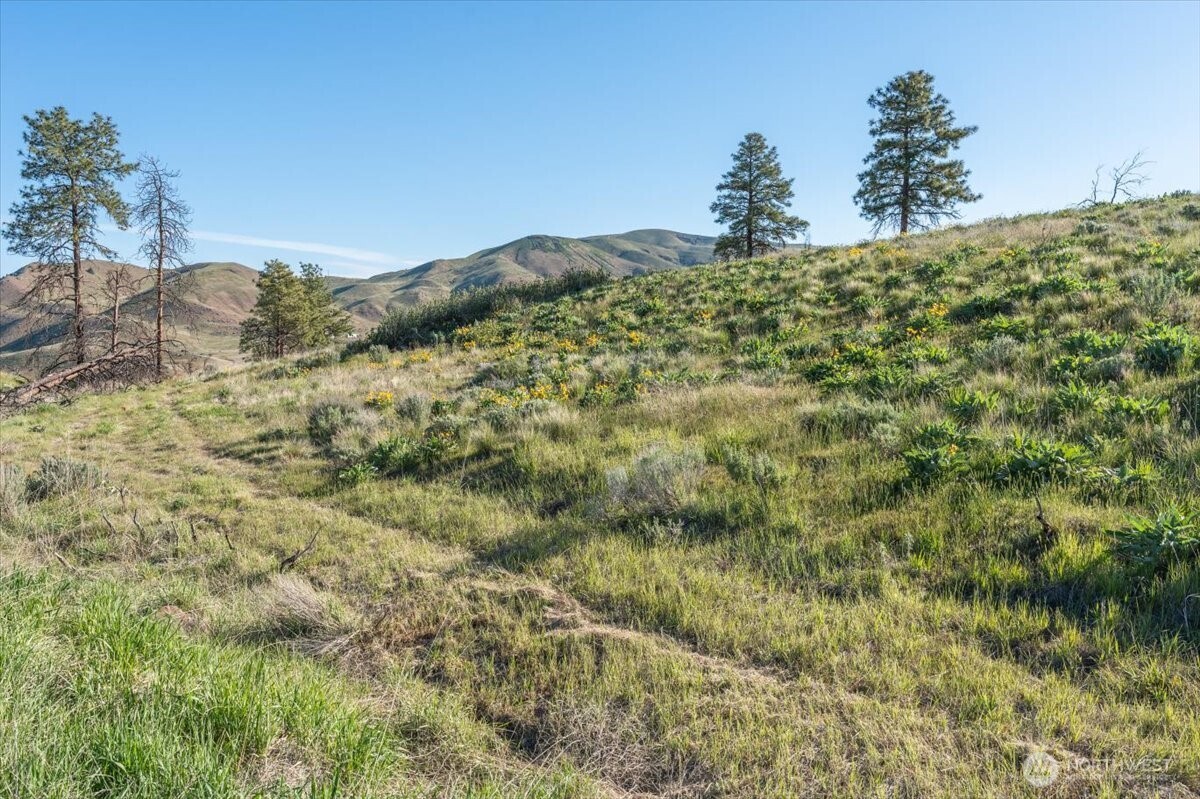 25 Chelan Hills Acres Road Property Photo 10