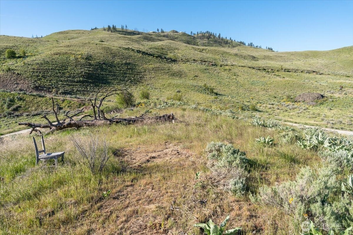 25 Chelan Hills Acres Road Property Photo 20